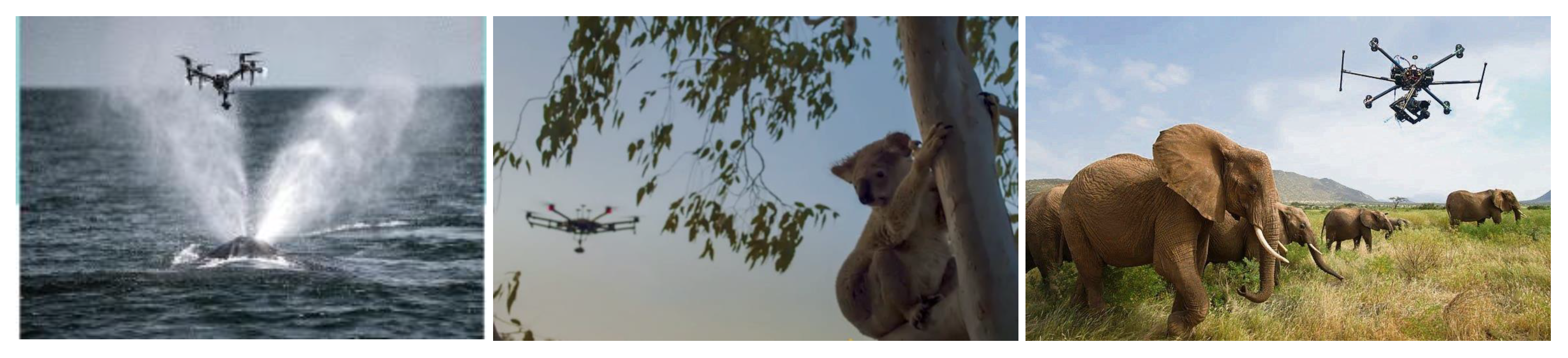 Futureinternet 13 00174 g006