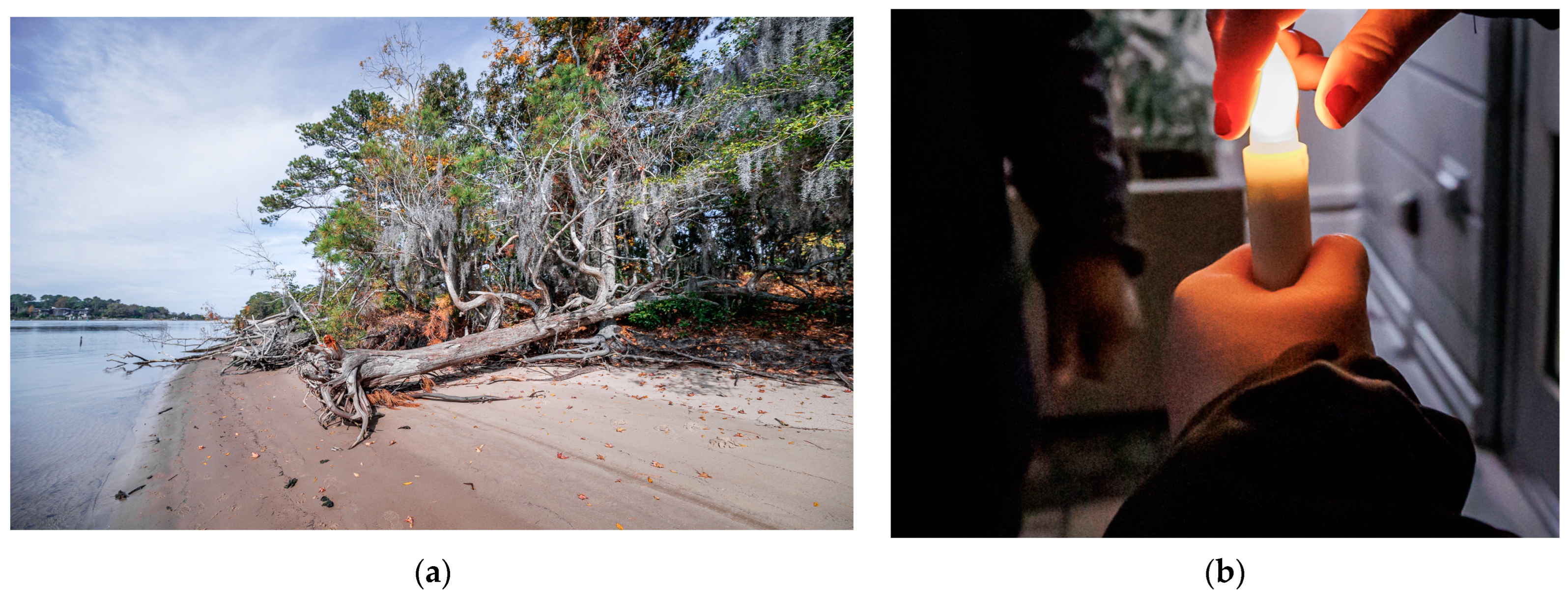 Futureinternet 15 00126 g003 Futureinternet 15 00126 g003