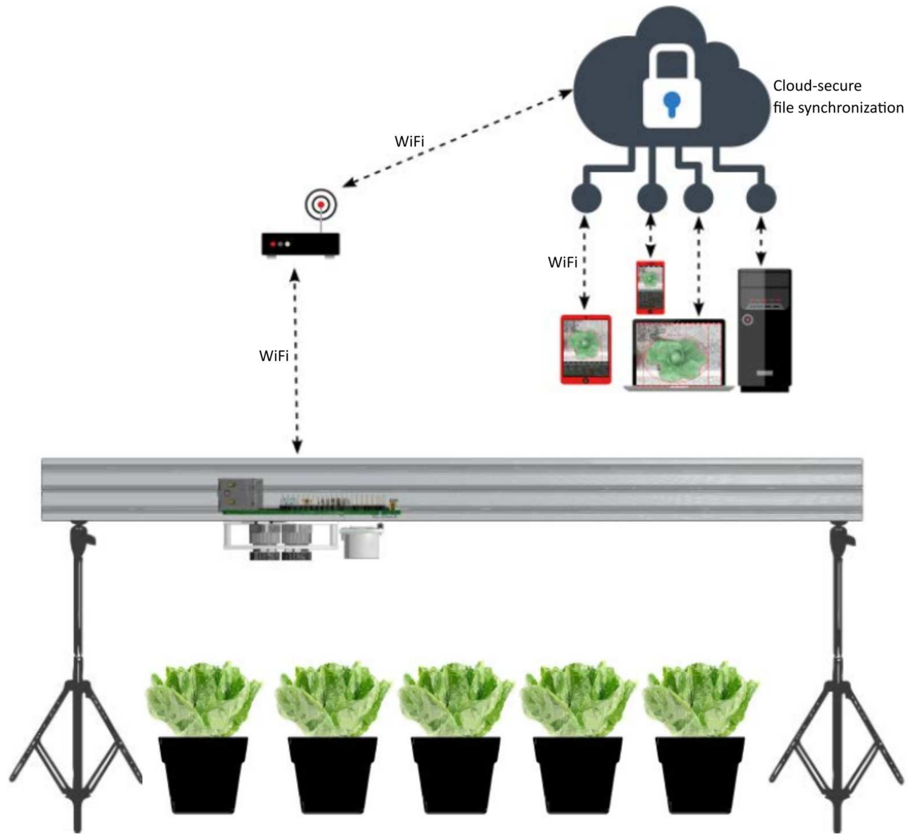 Futureinternet 16 00145 g002