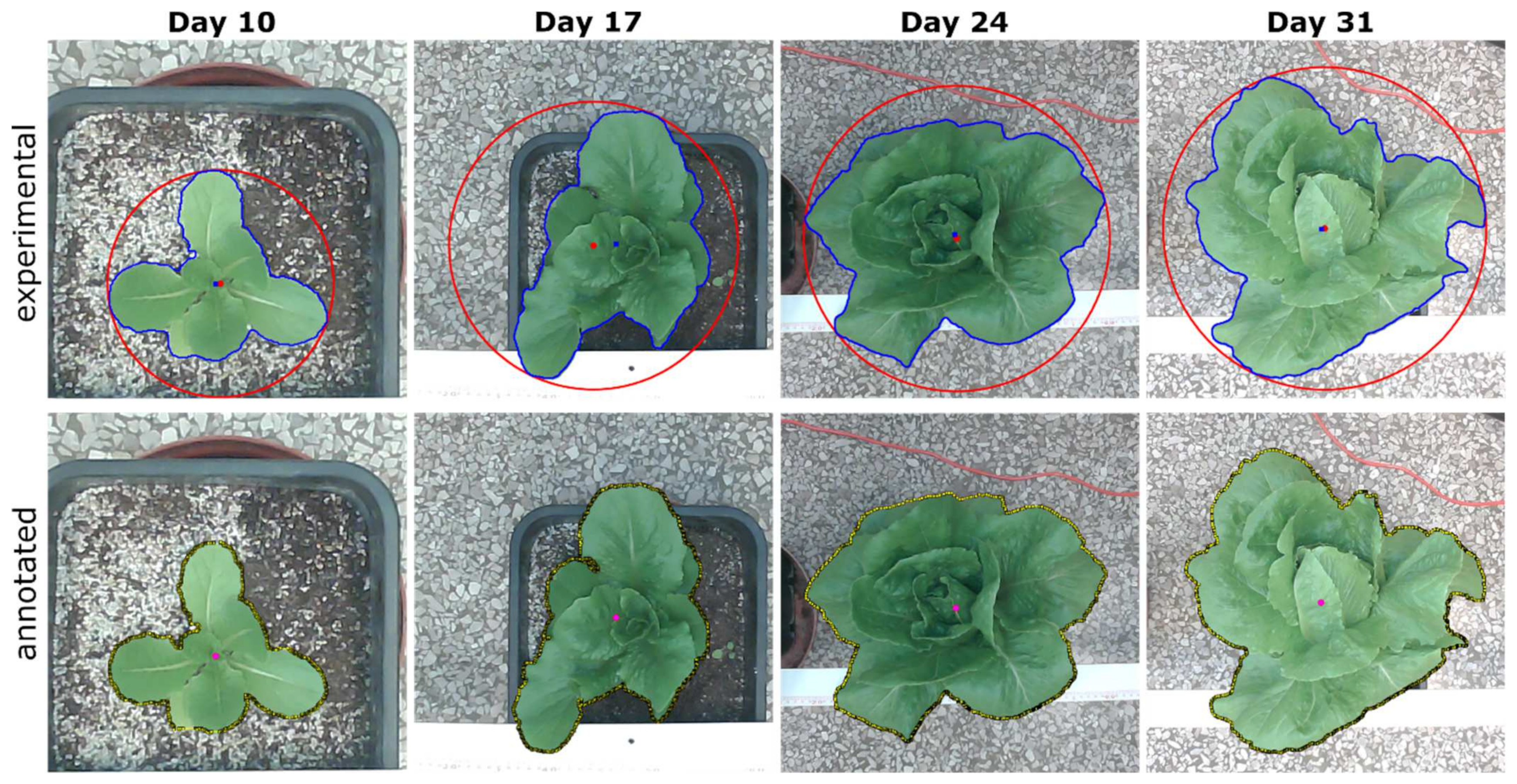 Futureinternet 16 00145 g017