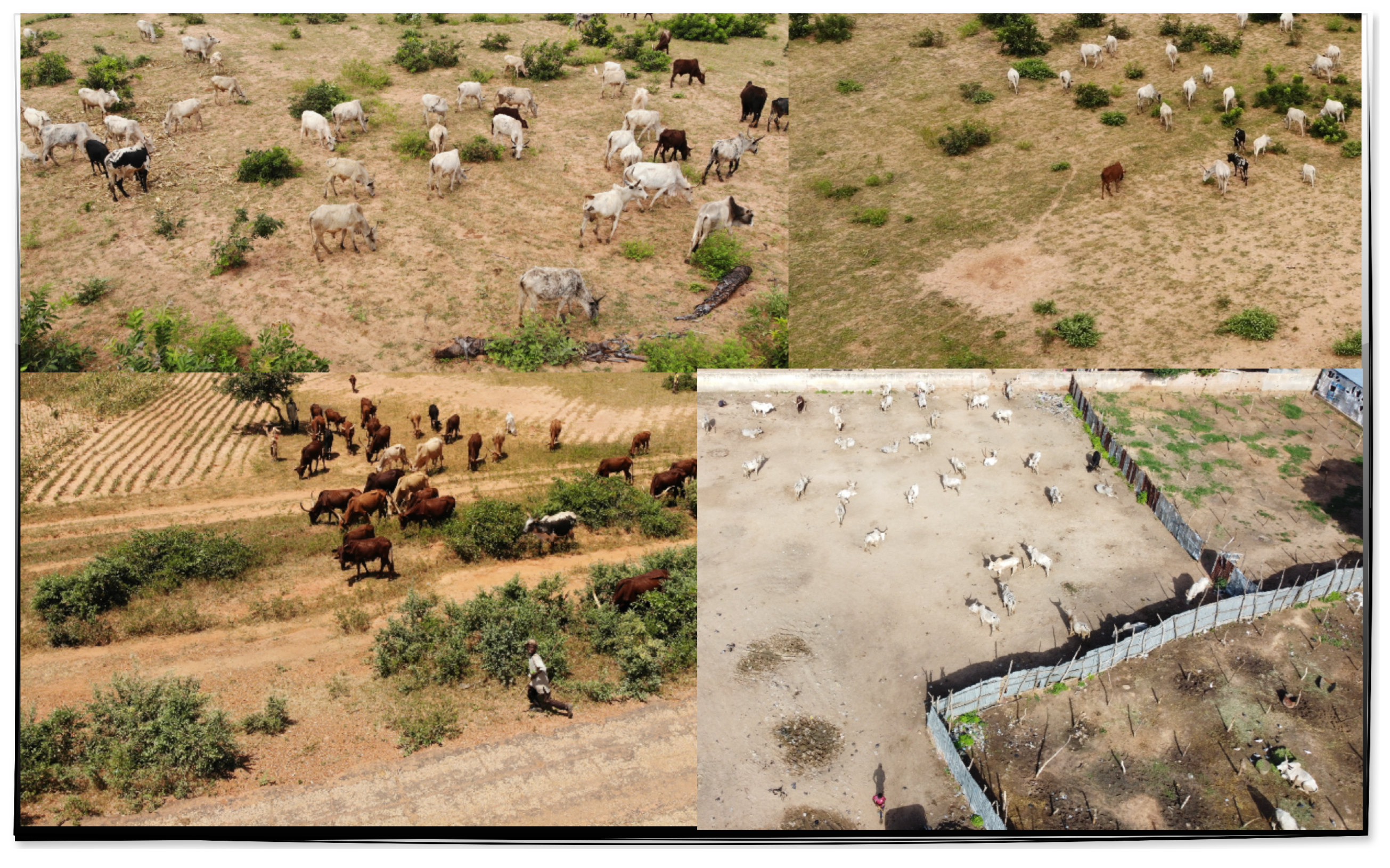 Futureinternet 17 00431 g002 Futureinternet 17 00431 g002