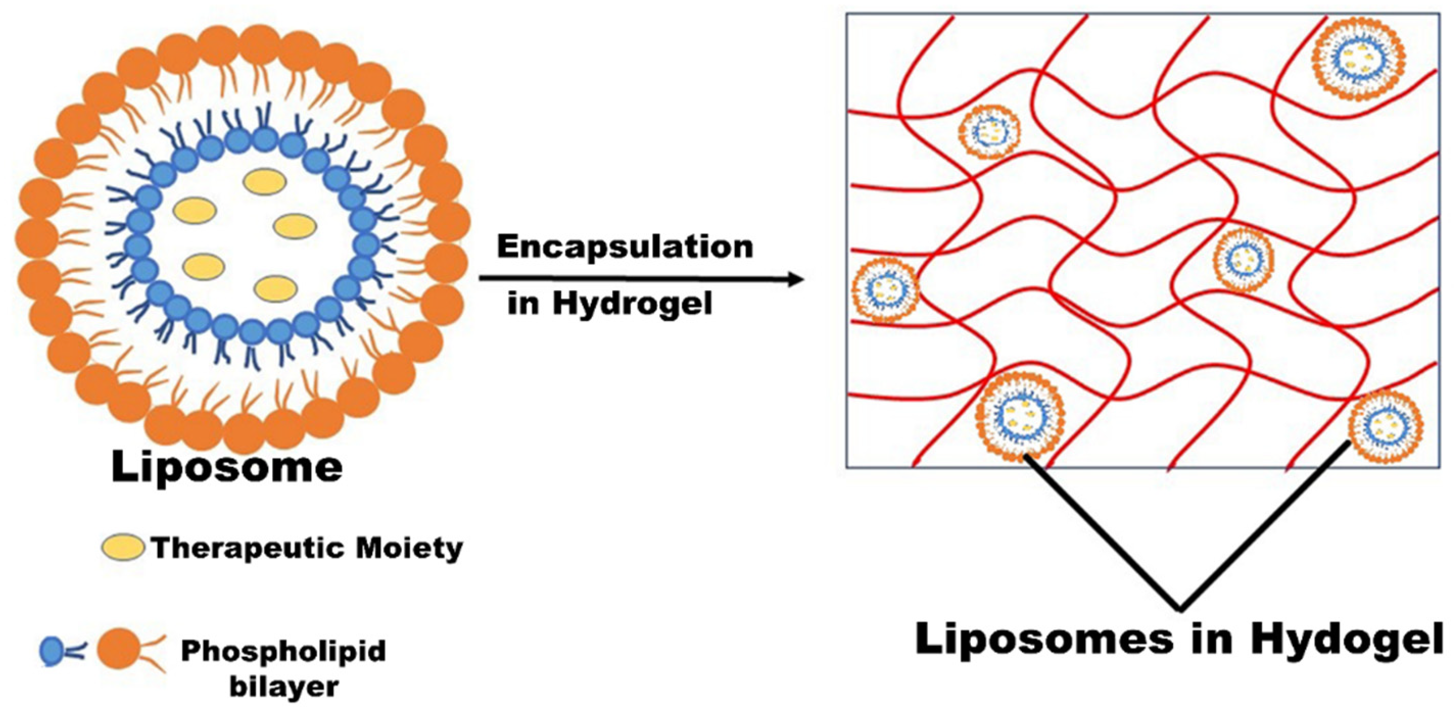 Futurepharmacol 01 00007 g005