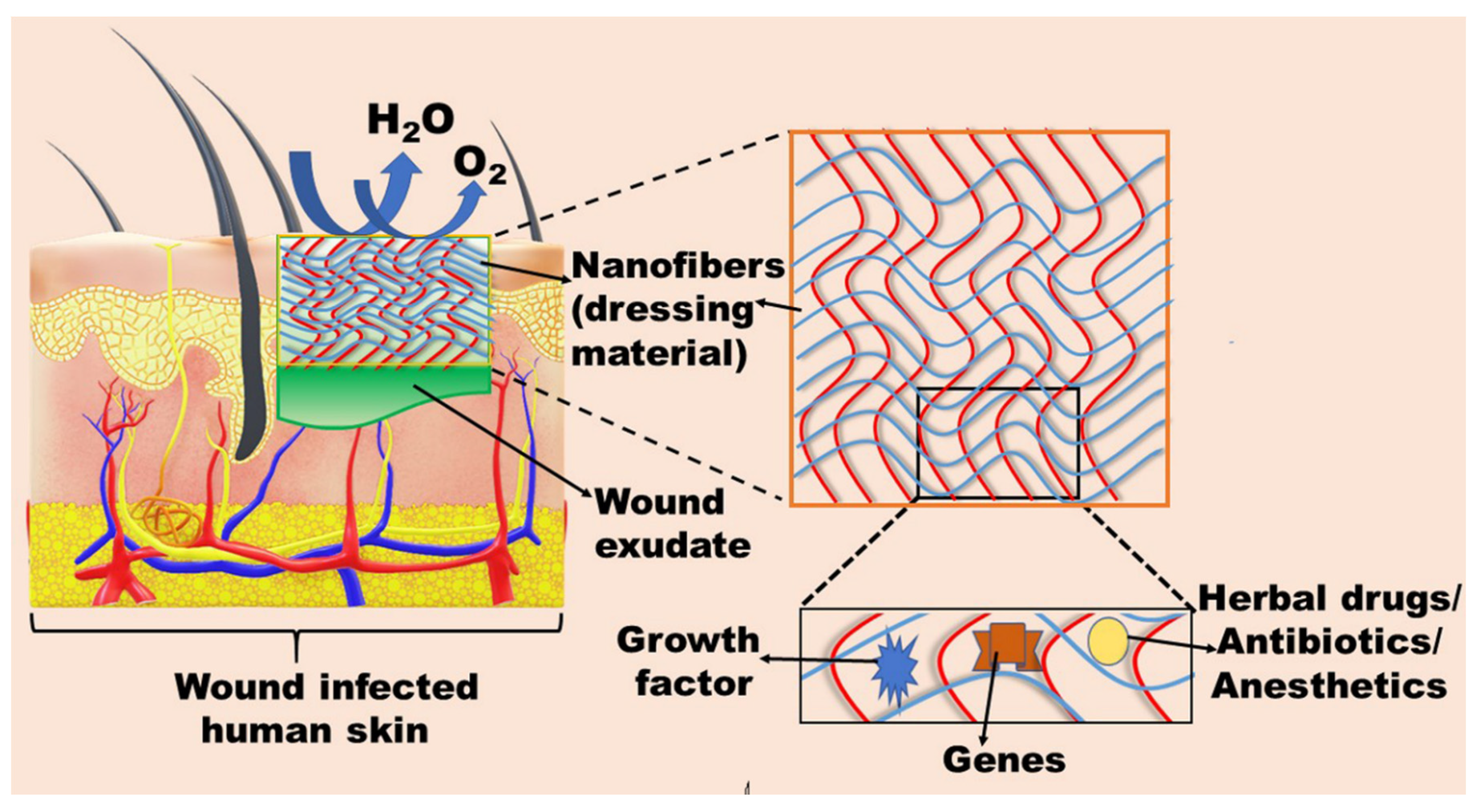 Futurepharmacol 01 00007 g007