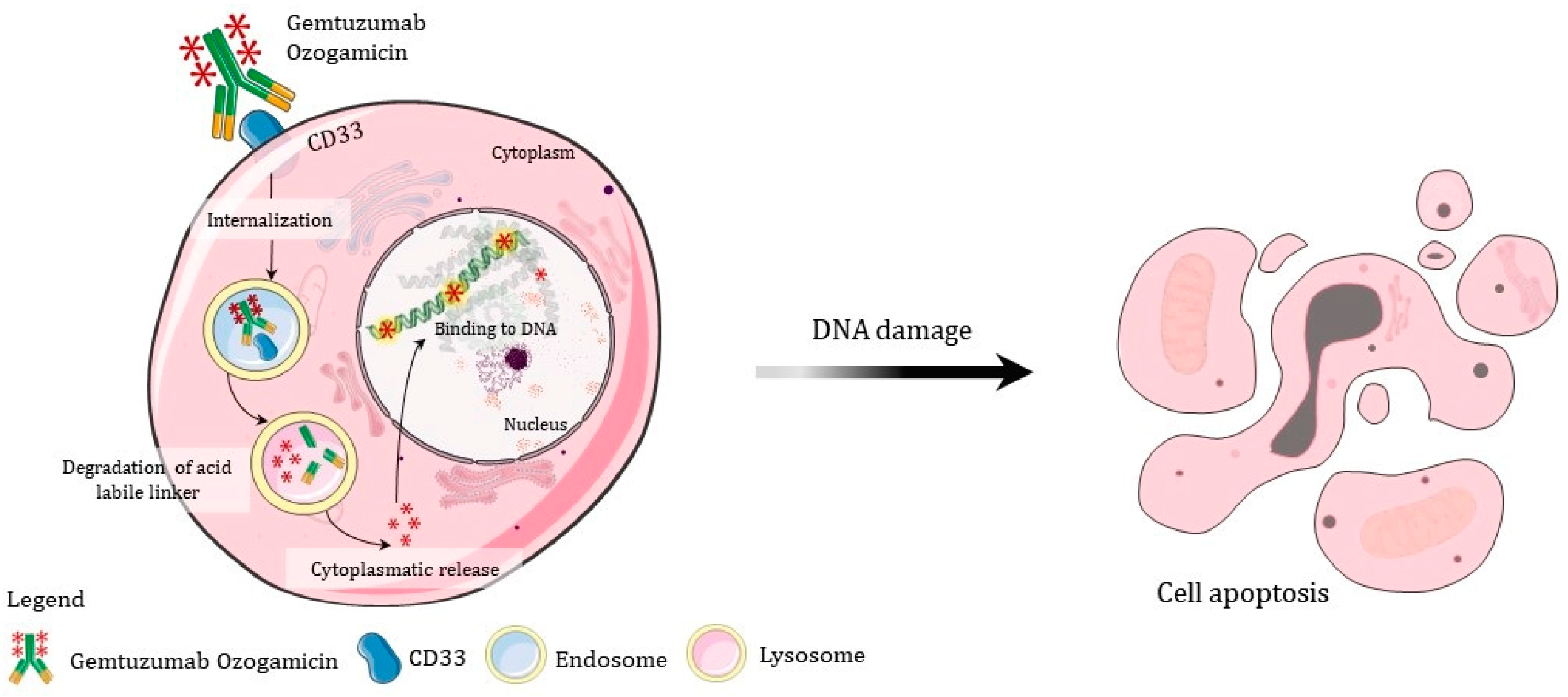 Futurepharmacol 03 00012 g005