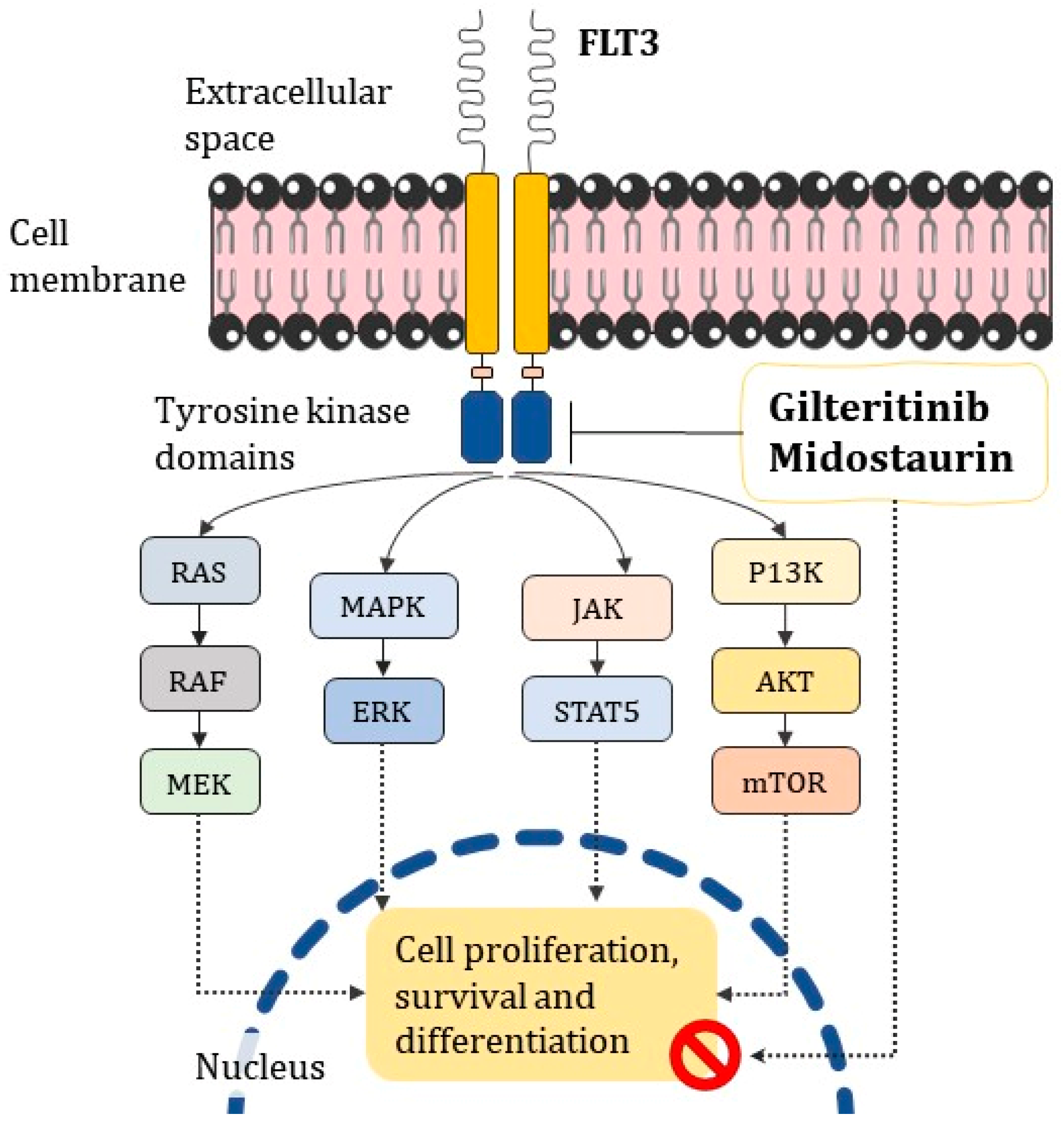 Futurepharmacol 03 00012 g006