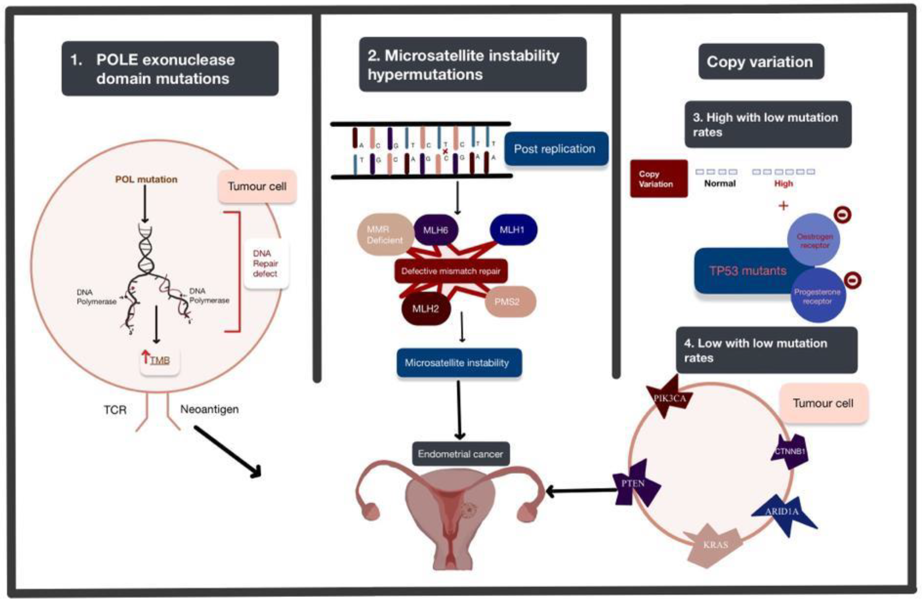 Future Pharmacology, Free Full-Text