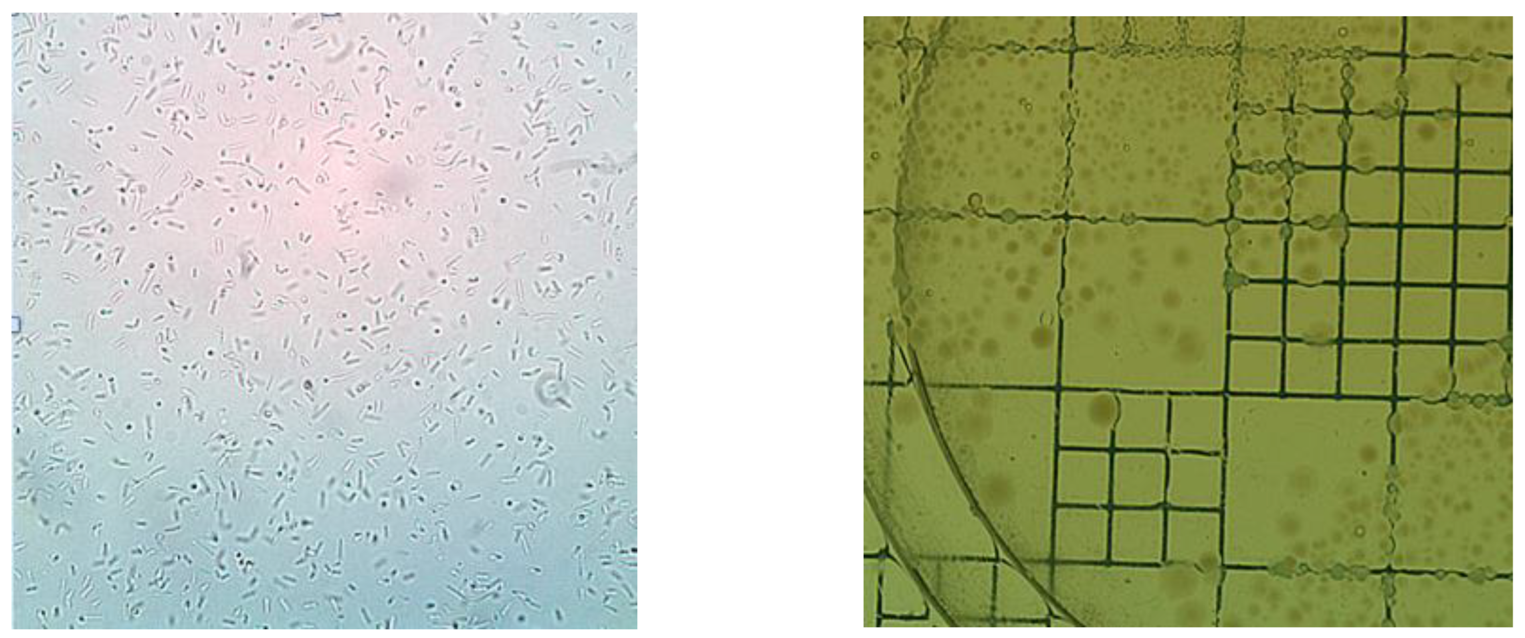 Futurepharmacol 03 00035 g004