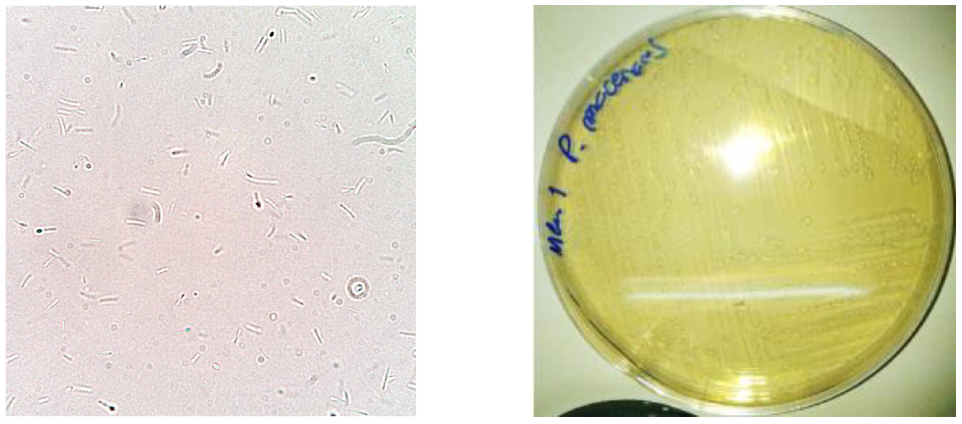 Futurepharmacol 03 00035 g005