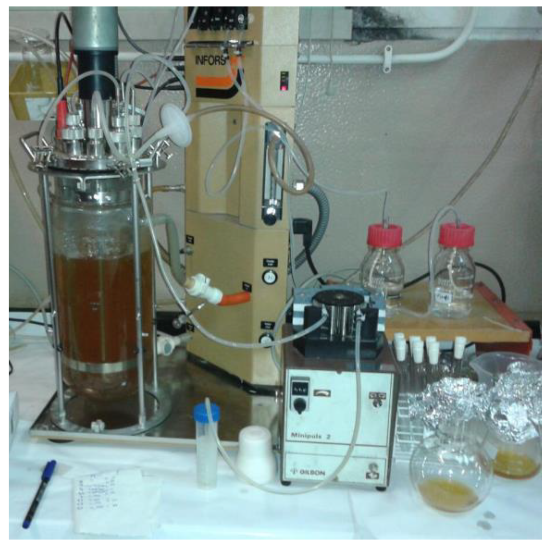 Futurepharmacol 03 00035 g009