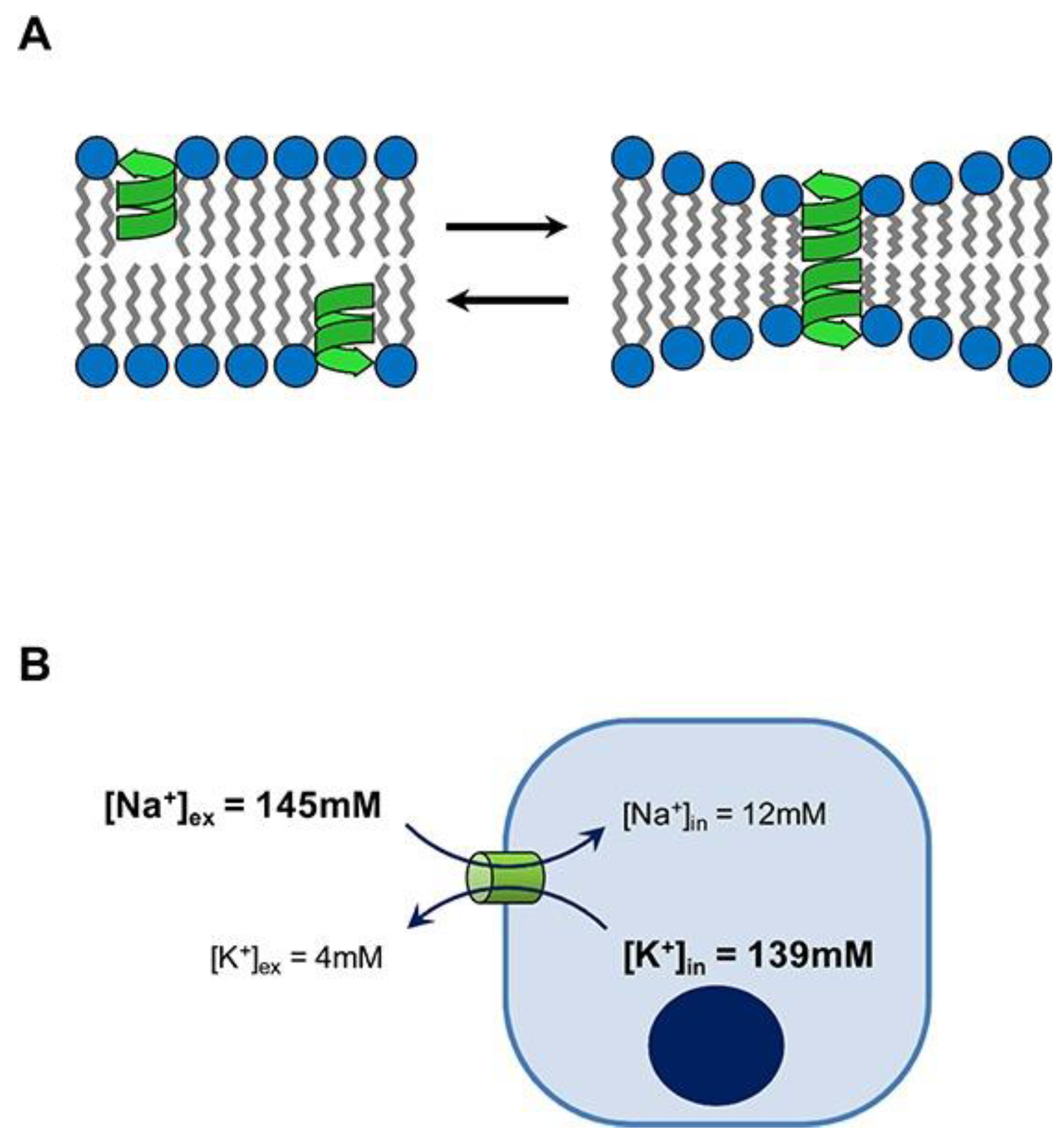 Futurepharmacol 03 00047 g007 Futurepharmacol 03 00047 g007
