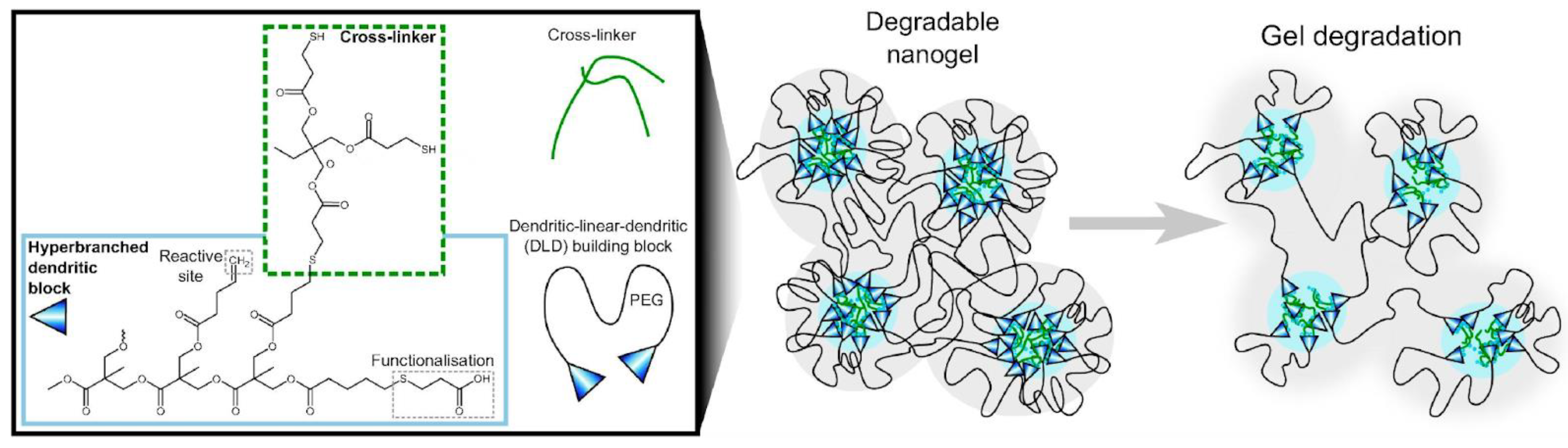 Futurepharmacol 03 00047 g012 Futurepharmacol 03 00047 g012
