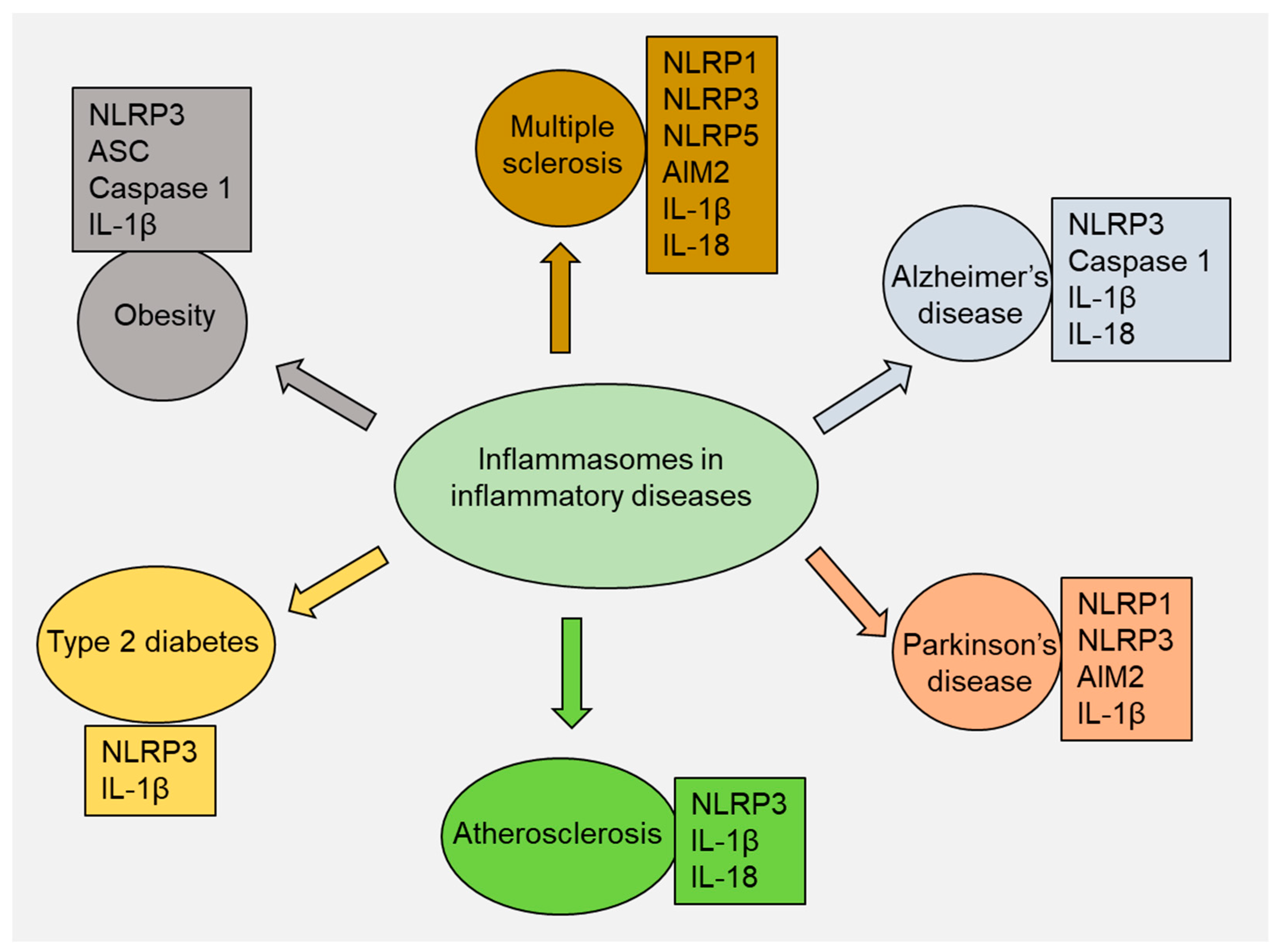 Futurepharmacol 03 00048 g003