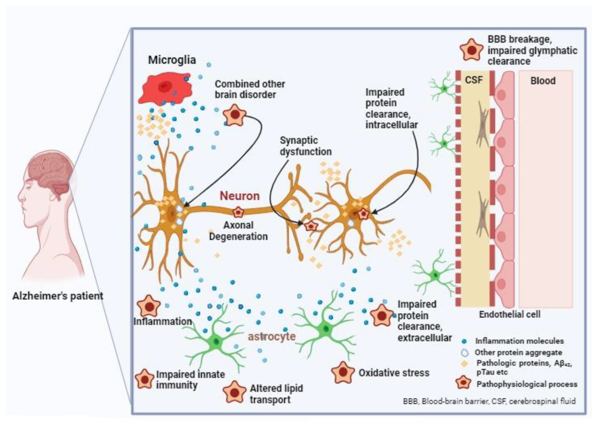 Future Pharmacology | Free Full-Text | Unlocking the Therapeutic 