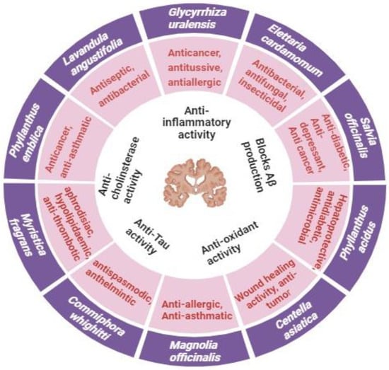 Future Pharmacology Free Full Text Unlocking the Therapeutic