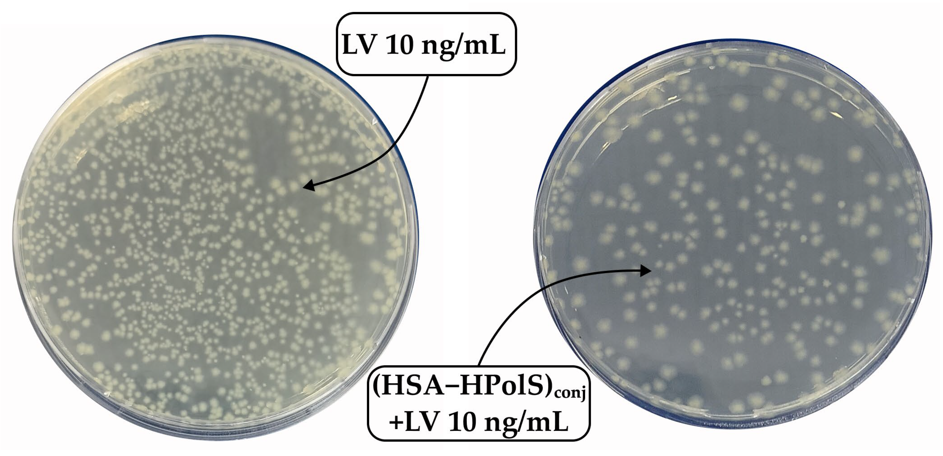 Futurepharmacol 04 00010 g012