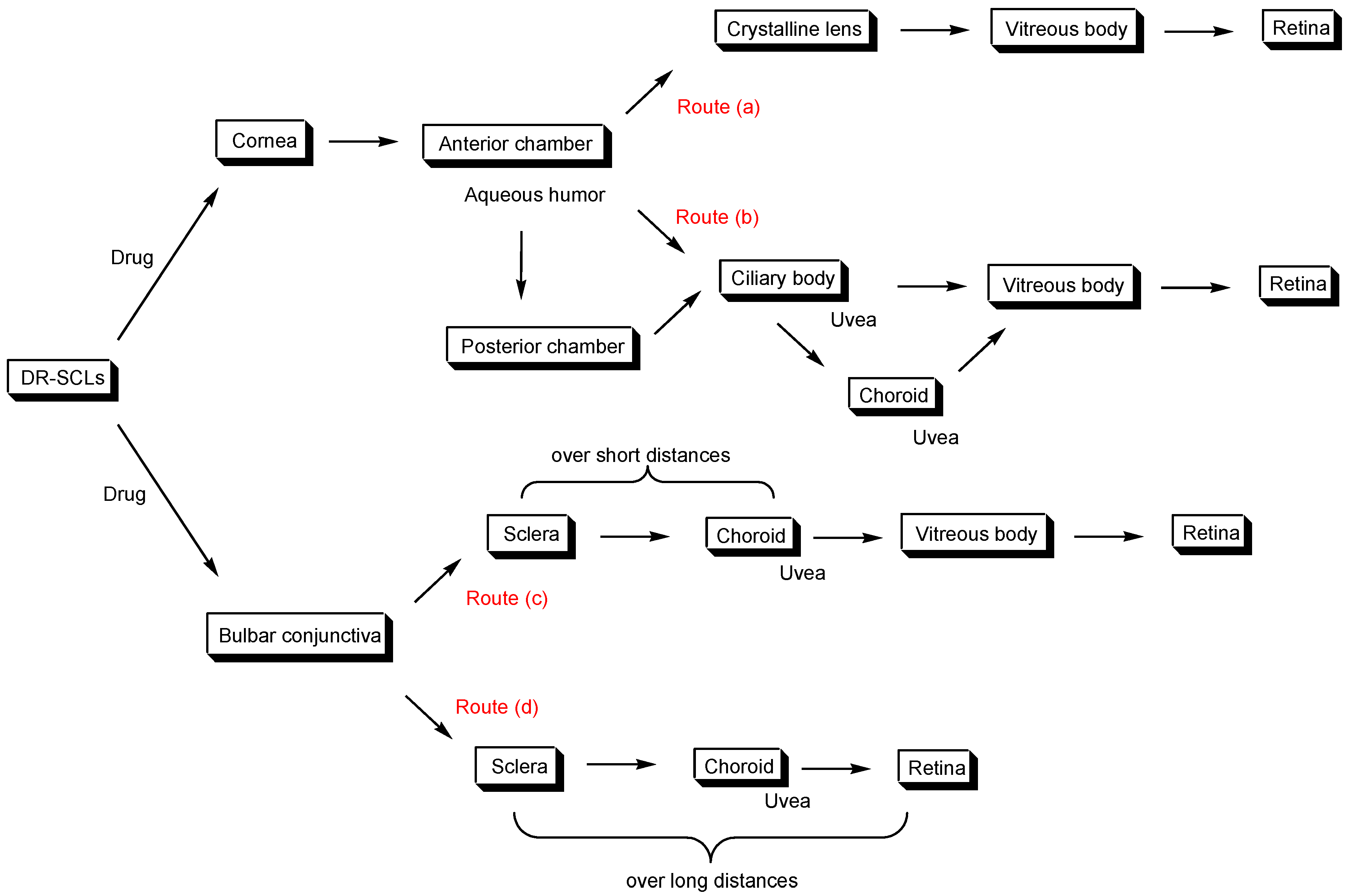 Futurepharmacol 04 00019 g002