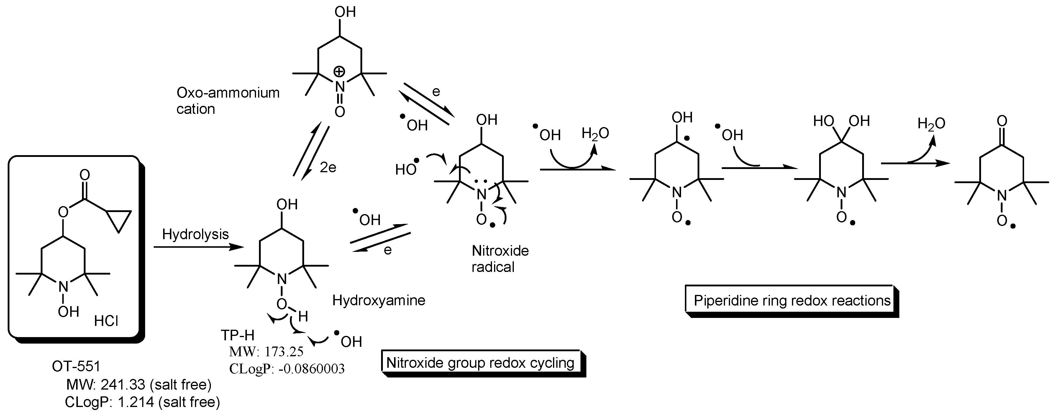 Futurepharmacol 04 00019 g005