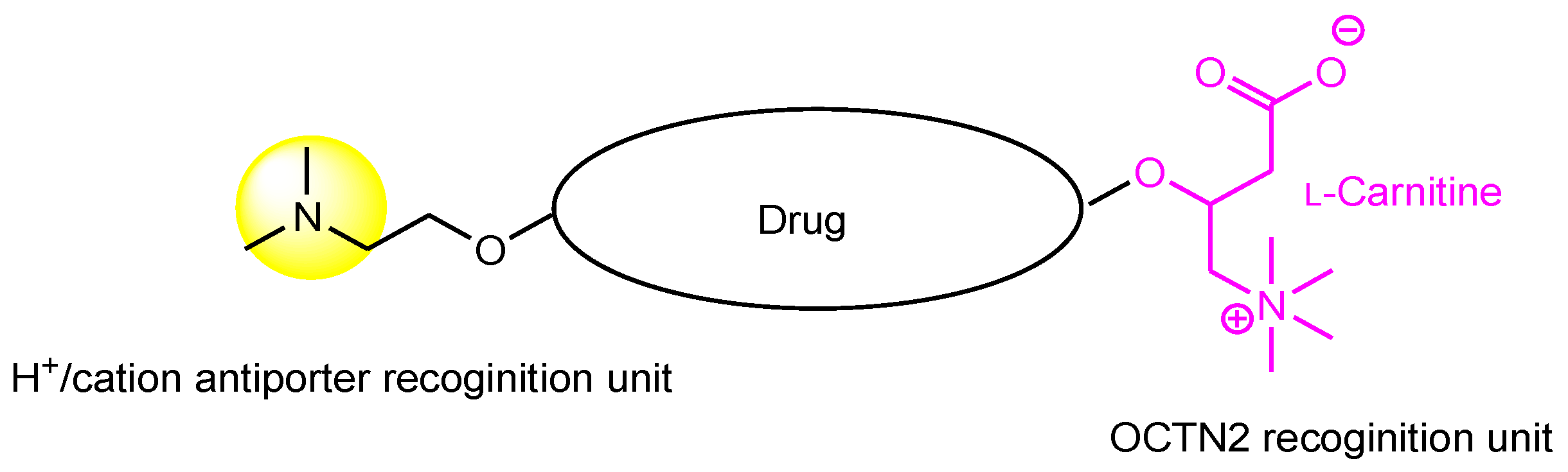 Futurepharmacol 04 00027 g007