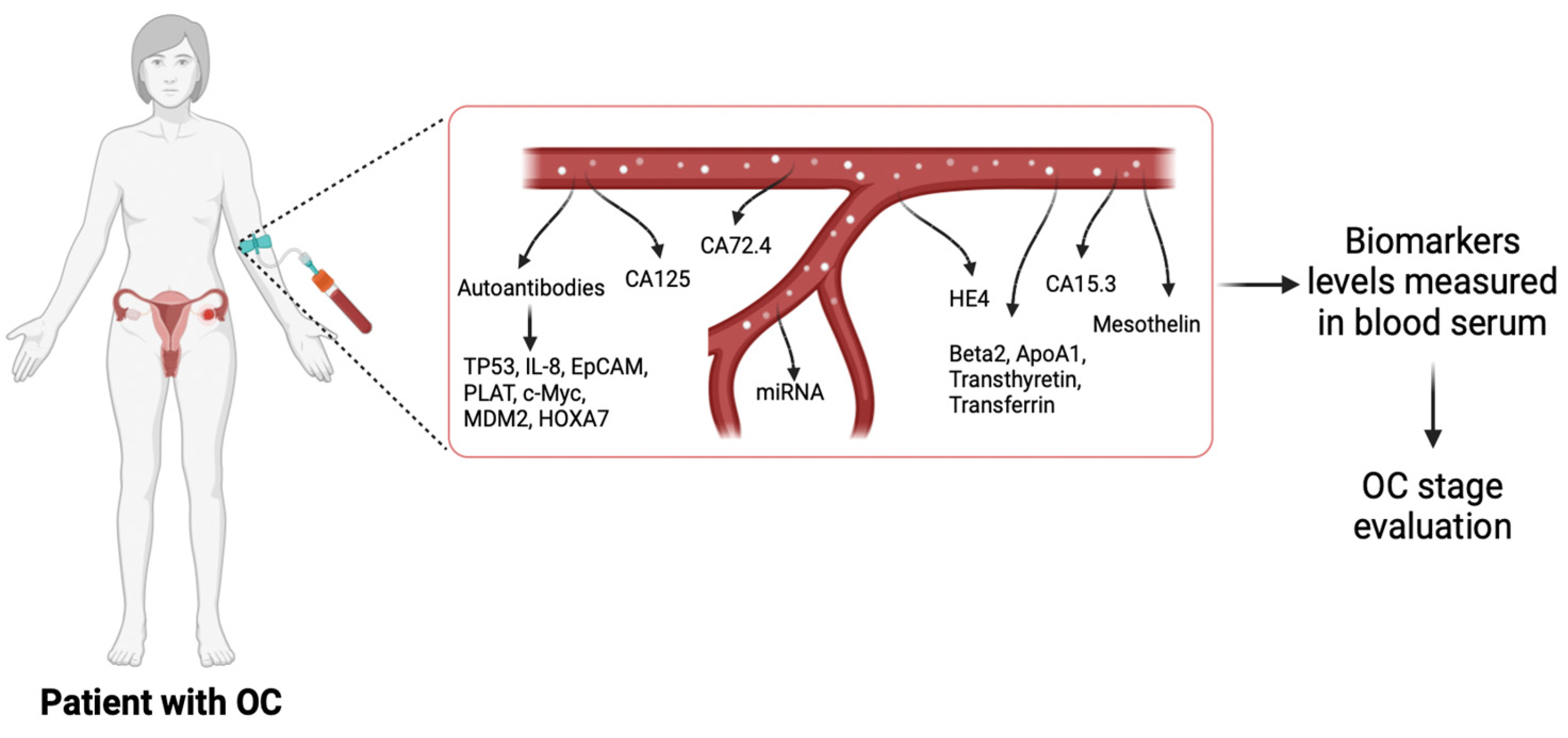 Futurepharmacol 04 00035 g006 Futurepharmacol 04 00035 g006