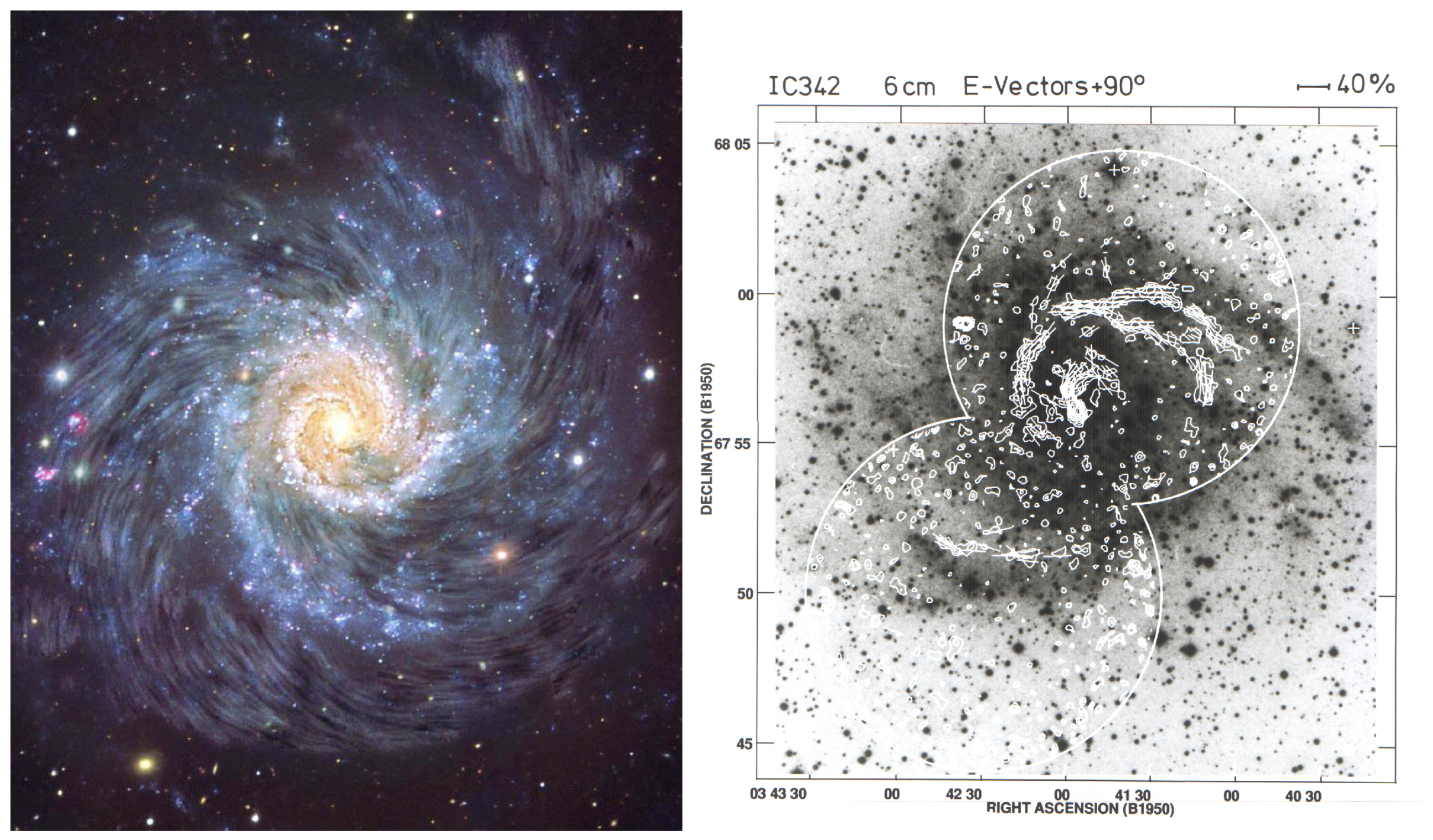 Galaxies | Free Full-Text | Magnetic Fields and Halos in Spiral Galaxies