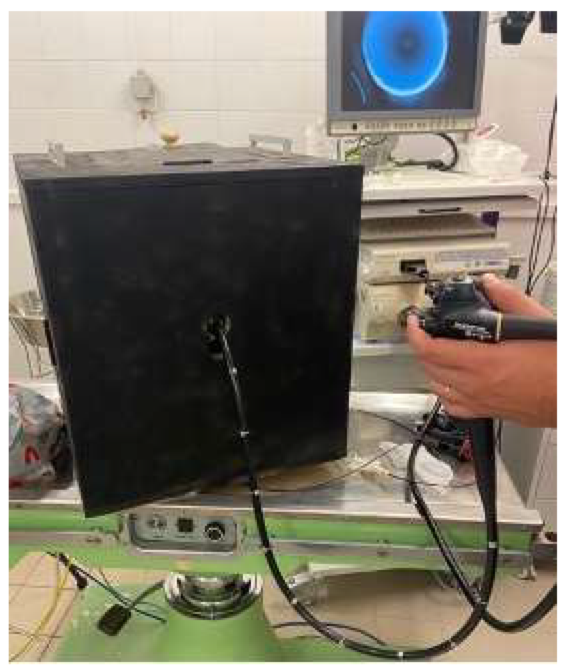 Gastroent 15 00021 g002