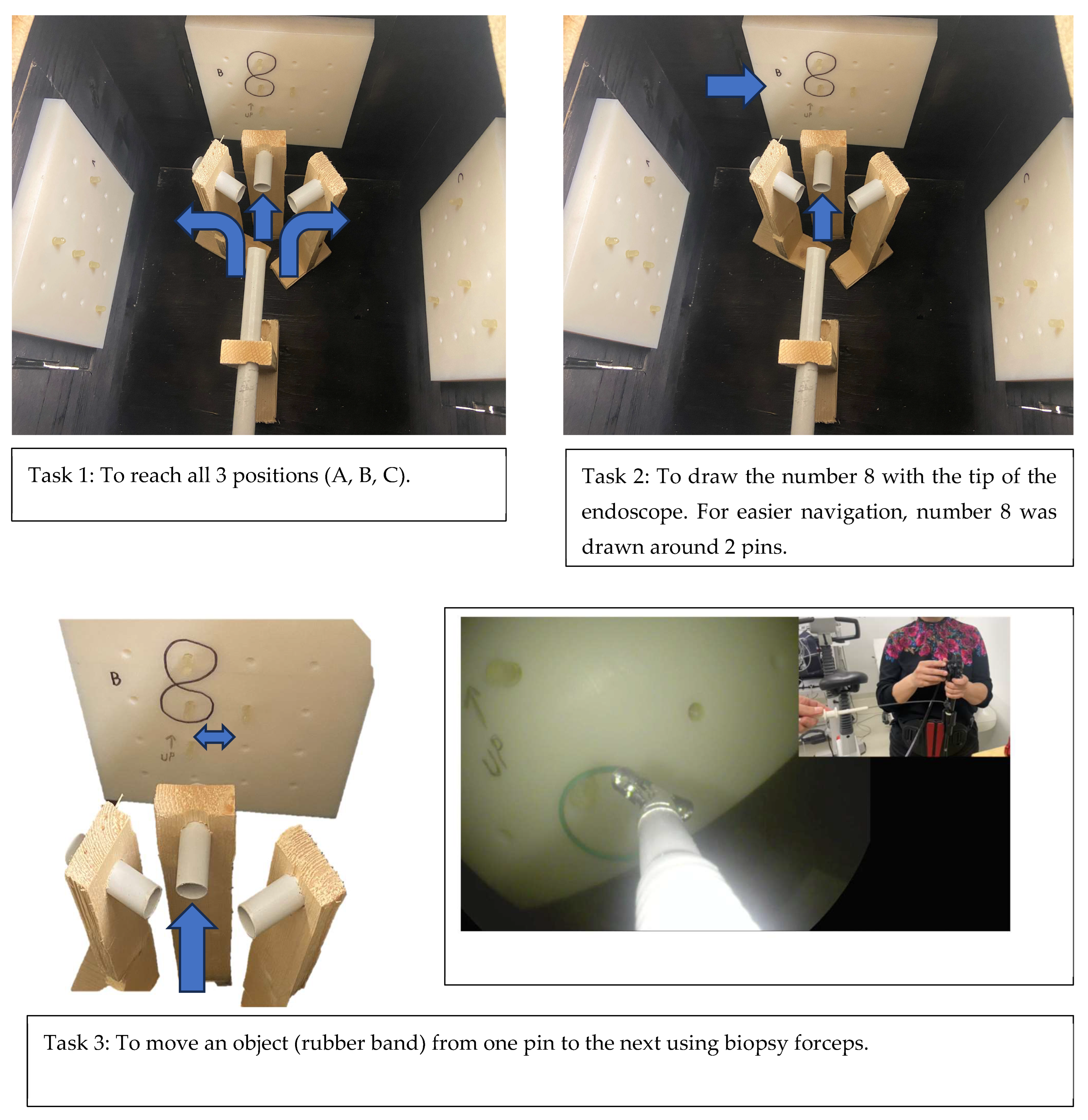 Gastroent 15 00021 g007