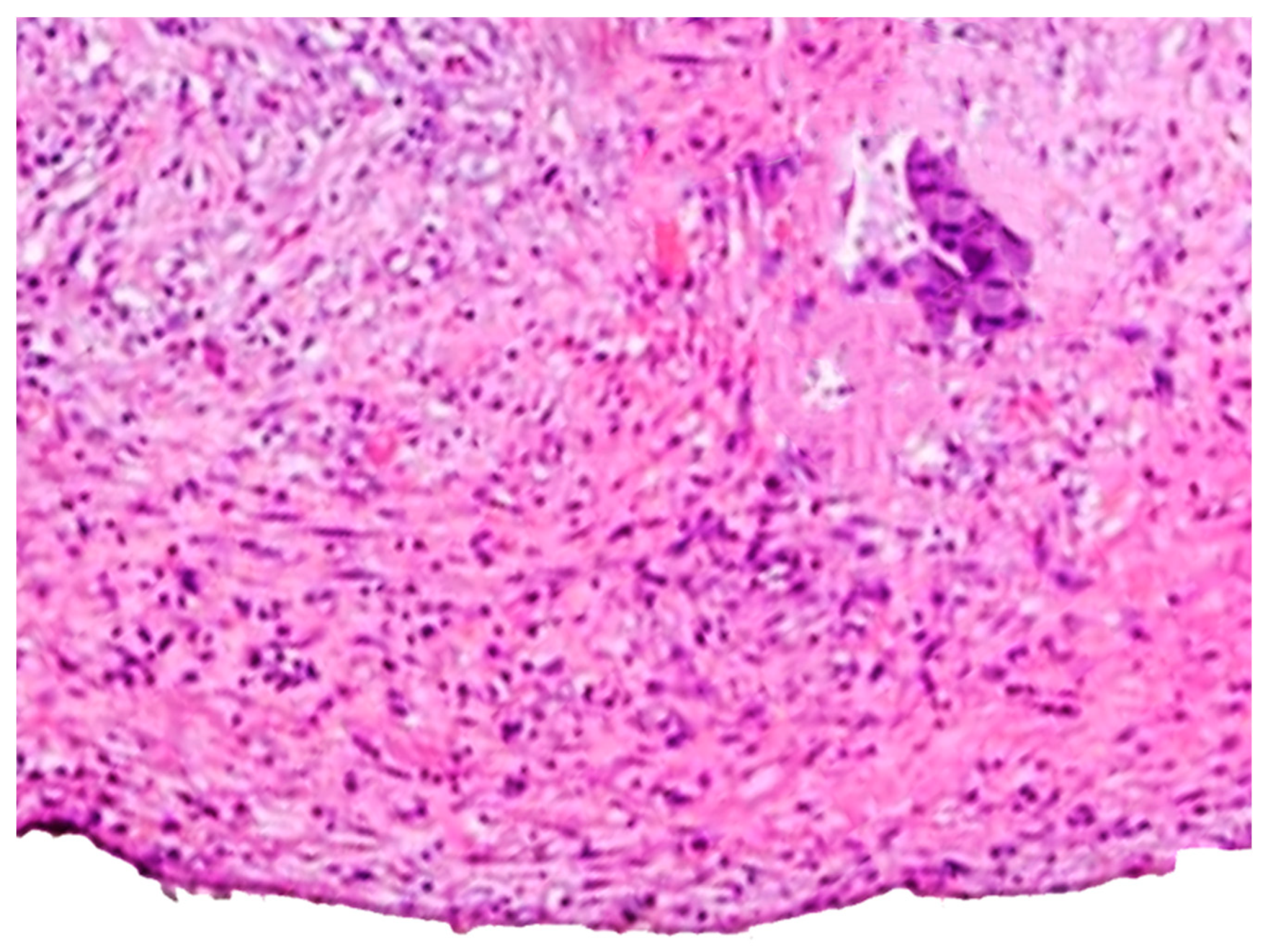 Gastroent 15 00025 g001