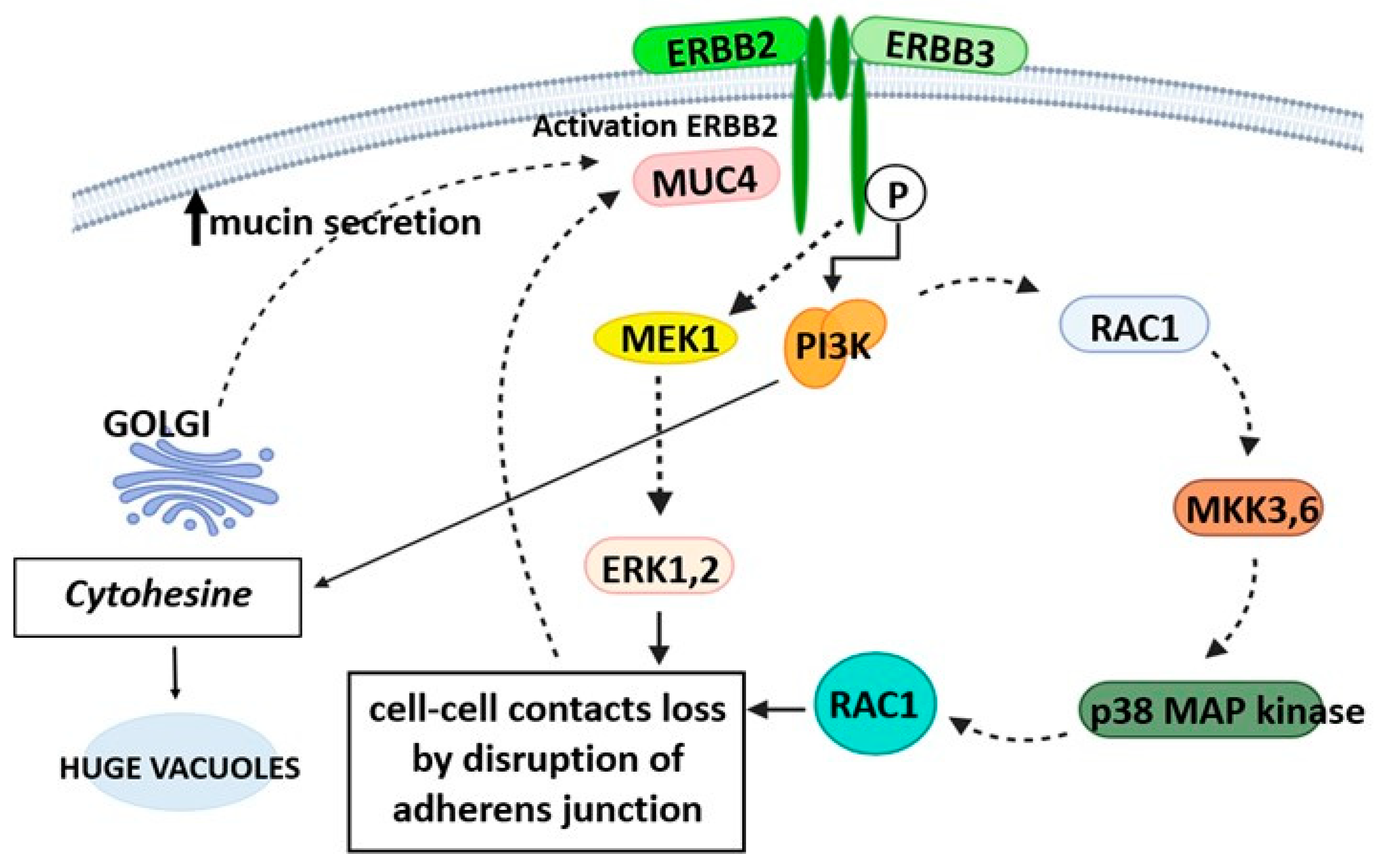 Gastroent 15 00046 g002 Gastroent 15 00046 g002