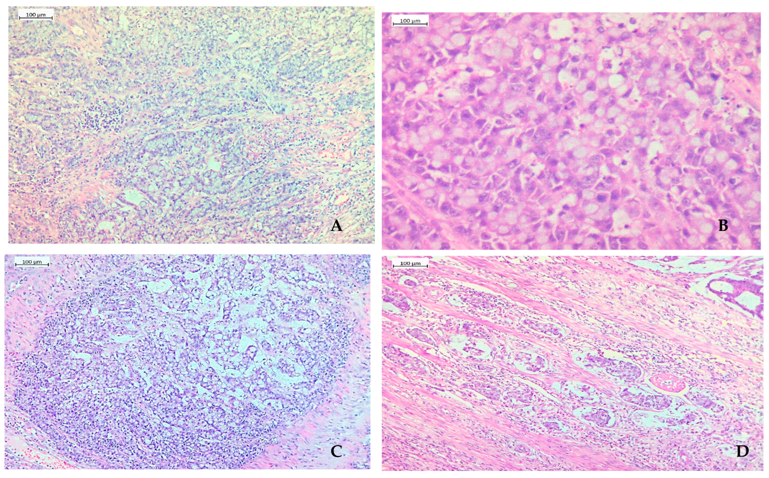 Gastroent 15 00046 g003 Gastroent 15 00046 g003