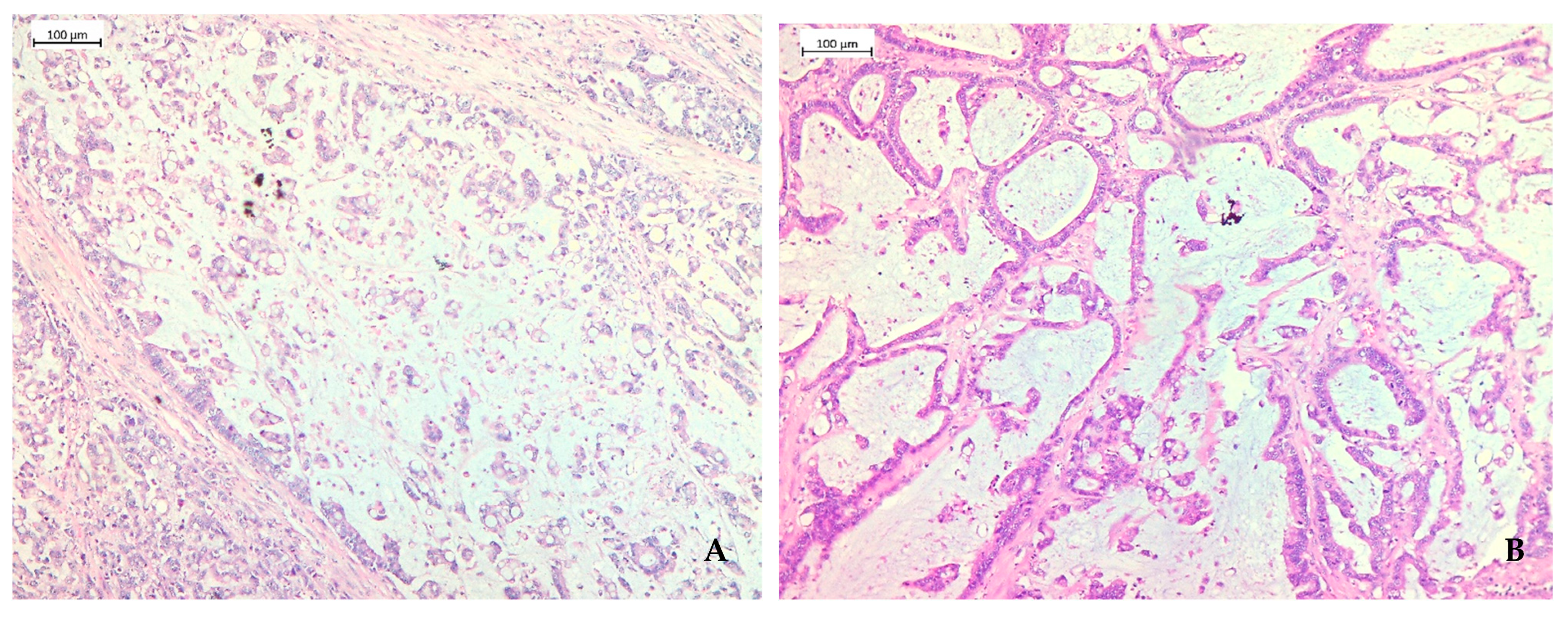 Gastroent 15 00046 g004 Gastroent 15 00046 g004
