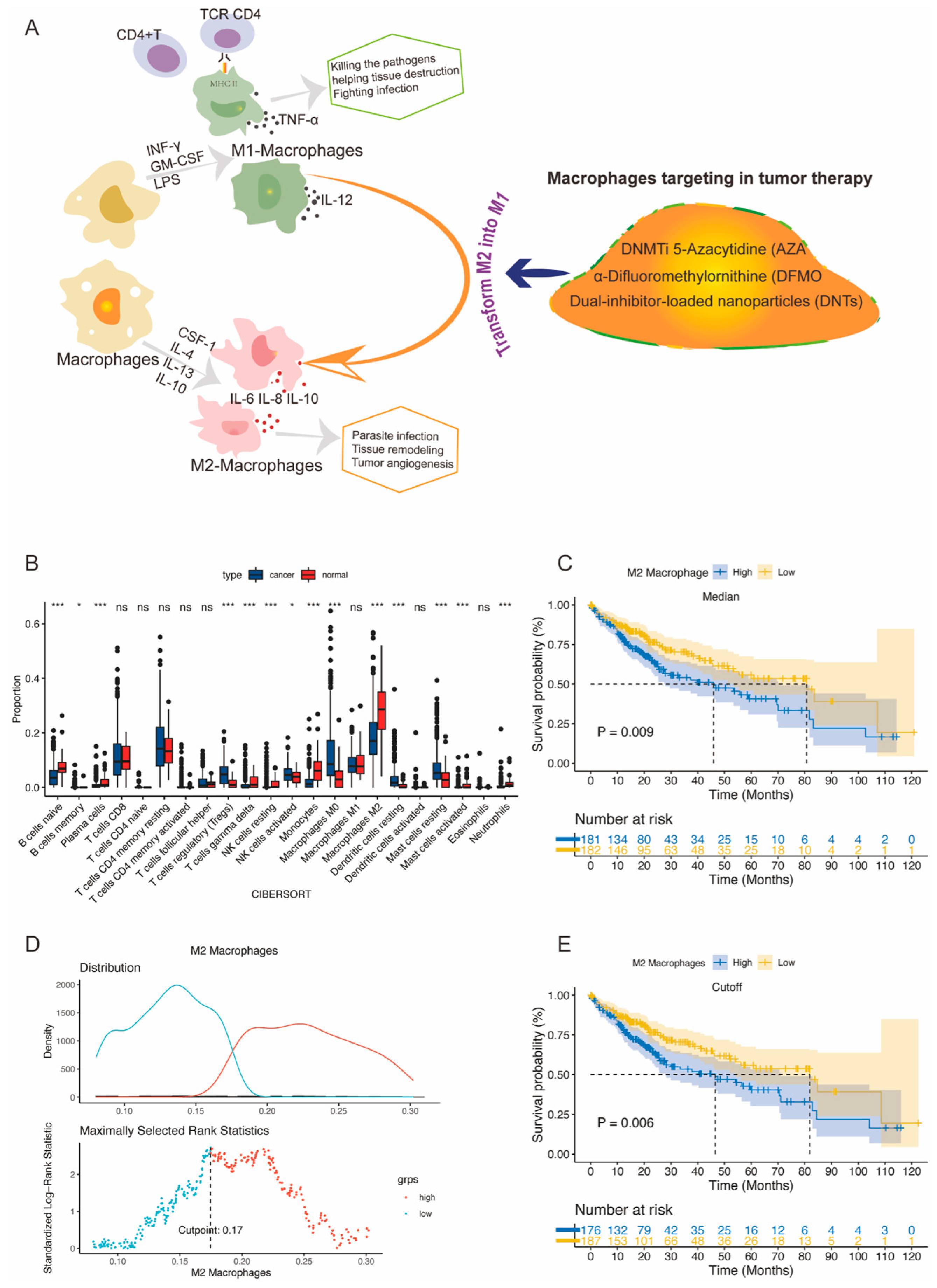 Gastroent 15 00055 g001