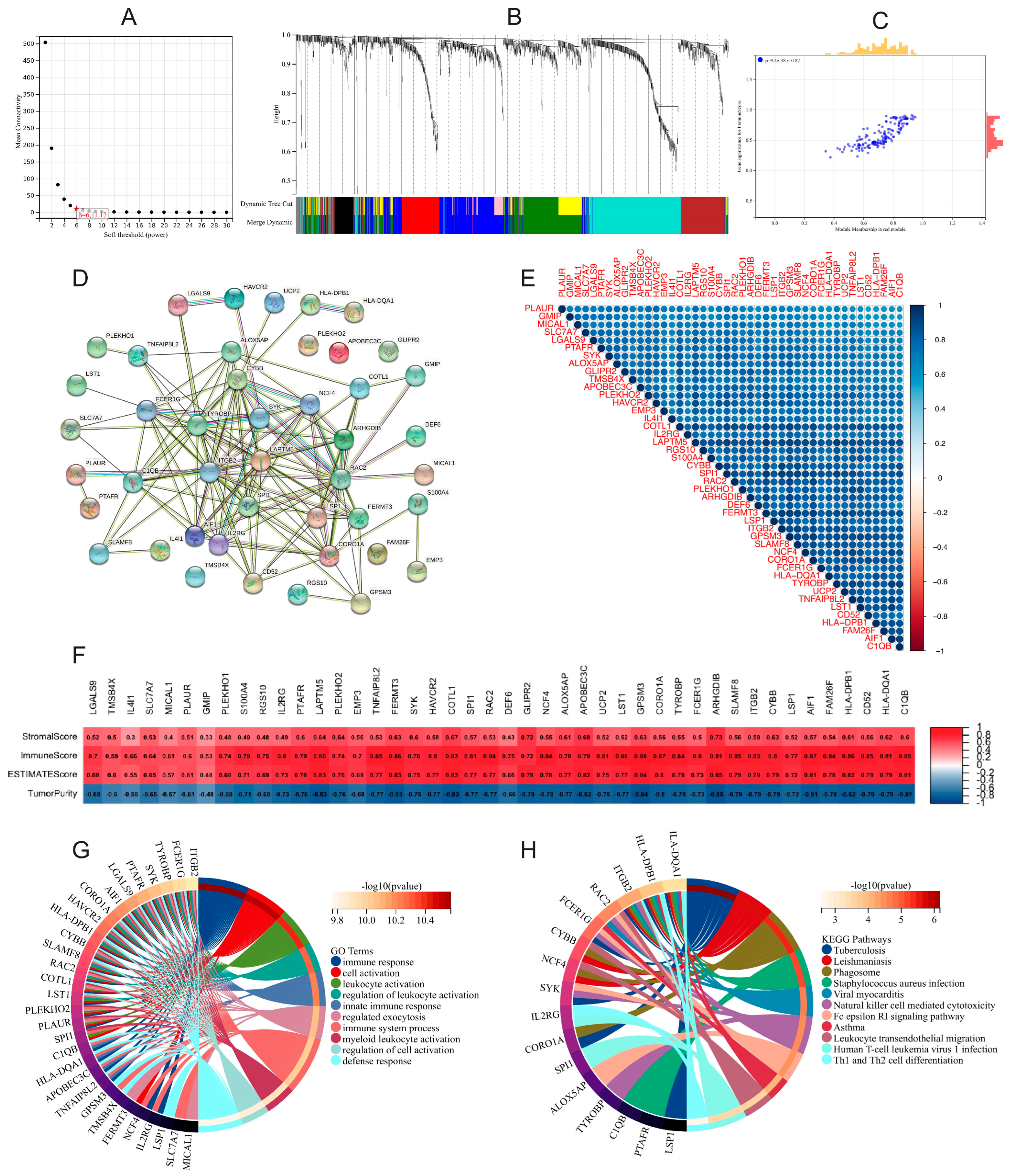 Gastroent 15 00055 g007