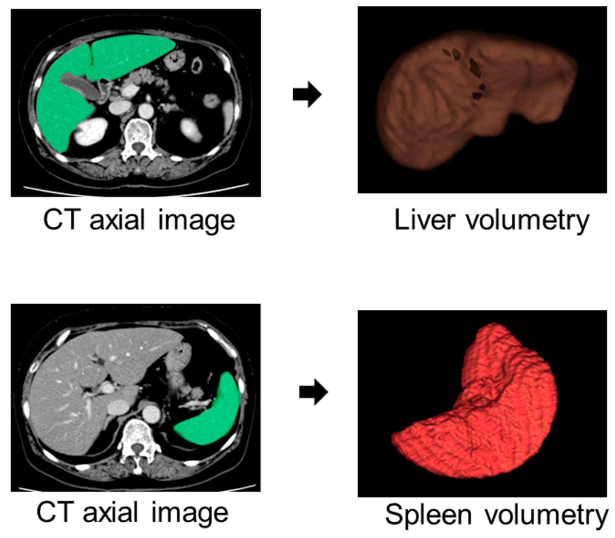 Gastroent 15 00068 g007