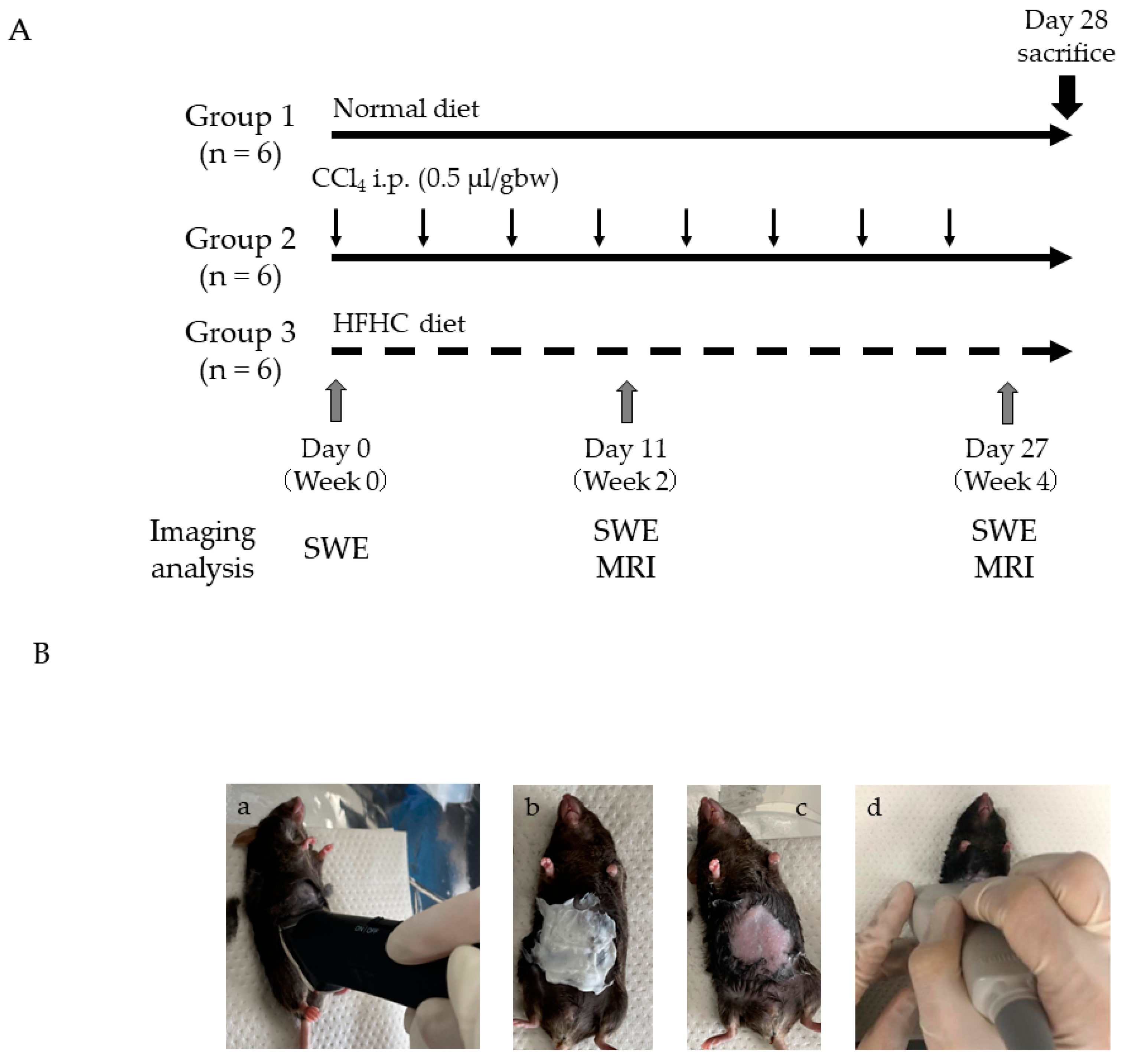 Gastrointestdisord 04 00015 g001
