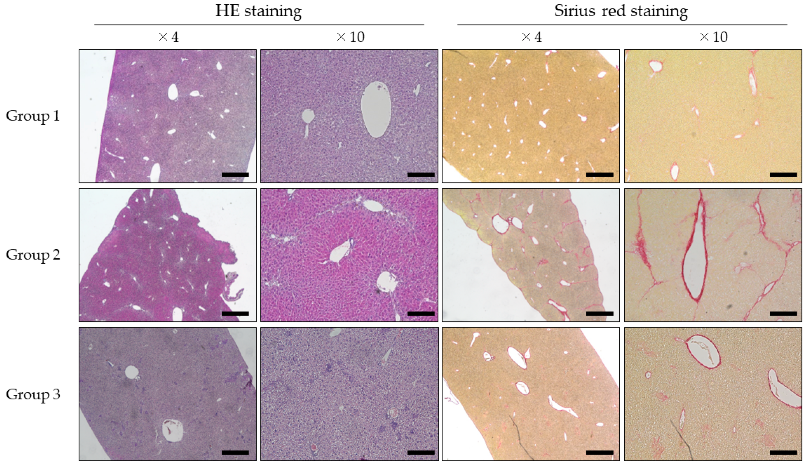 Gastrointestdisord 04 00015 g002