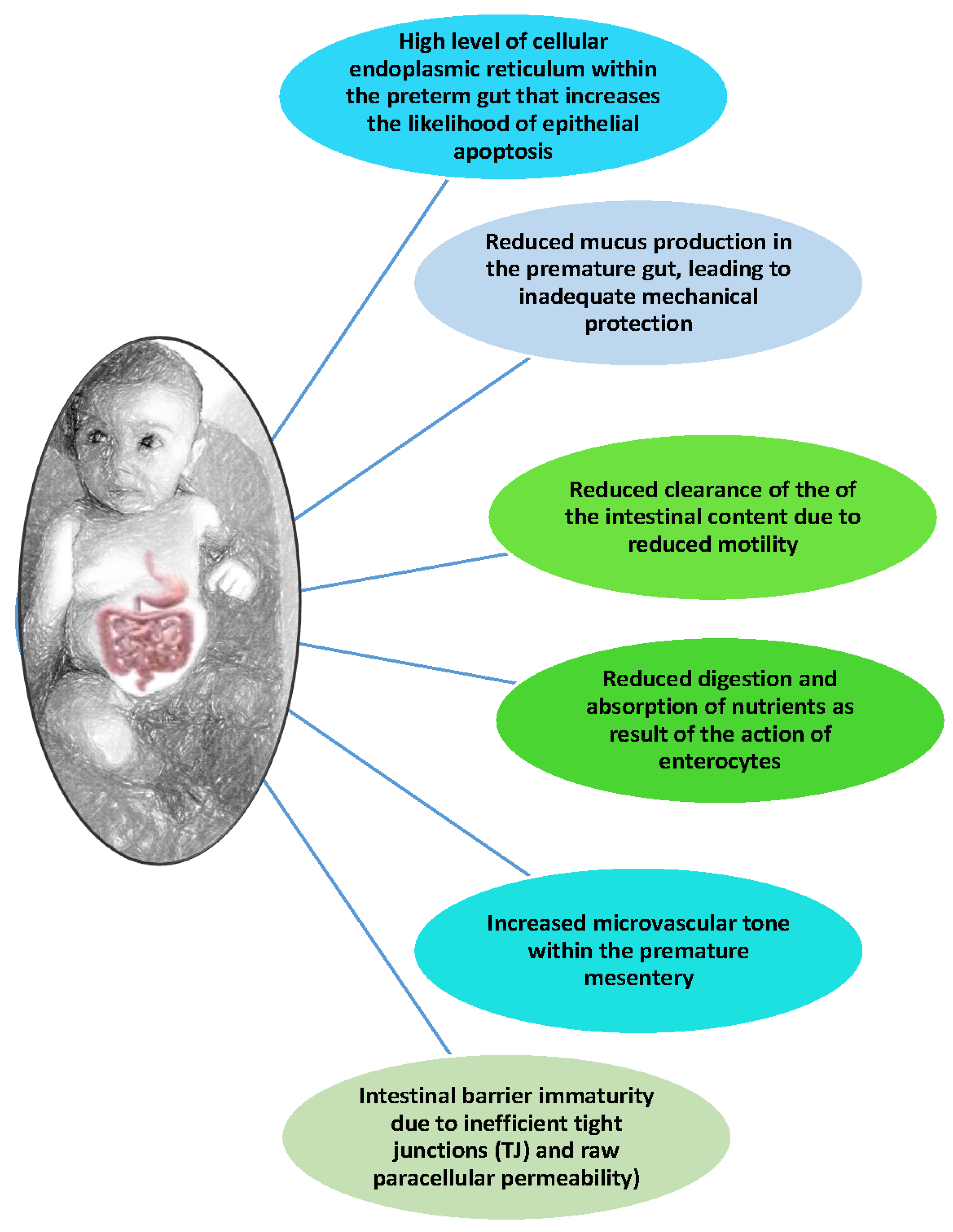 Gastrointestdisord 06 00029 g001