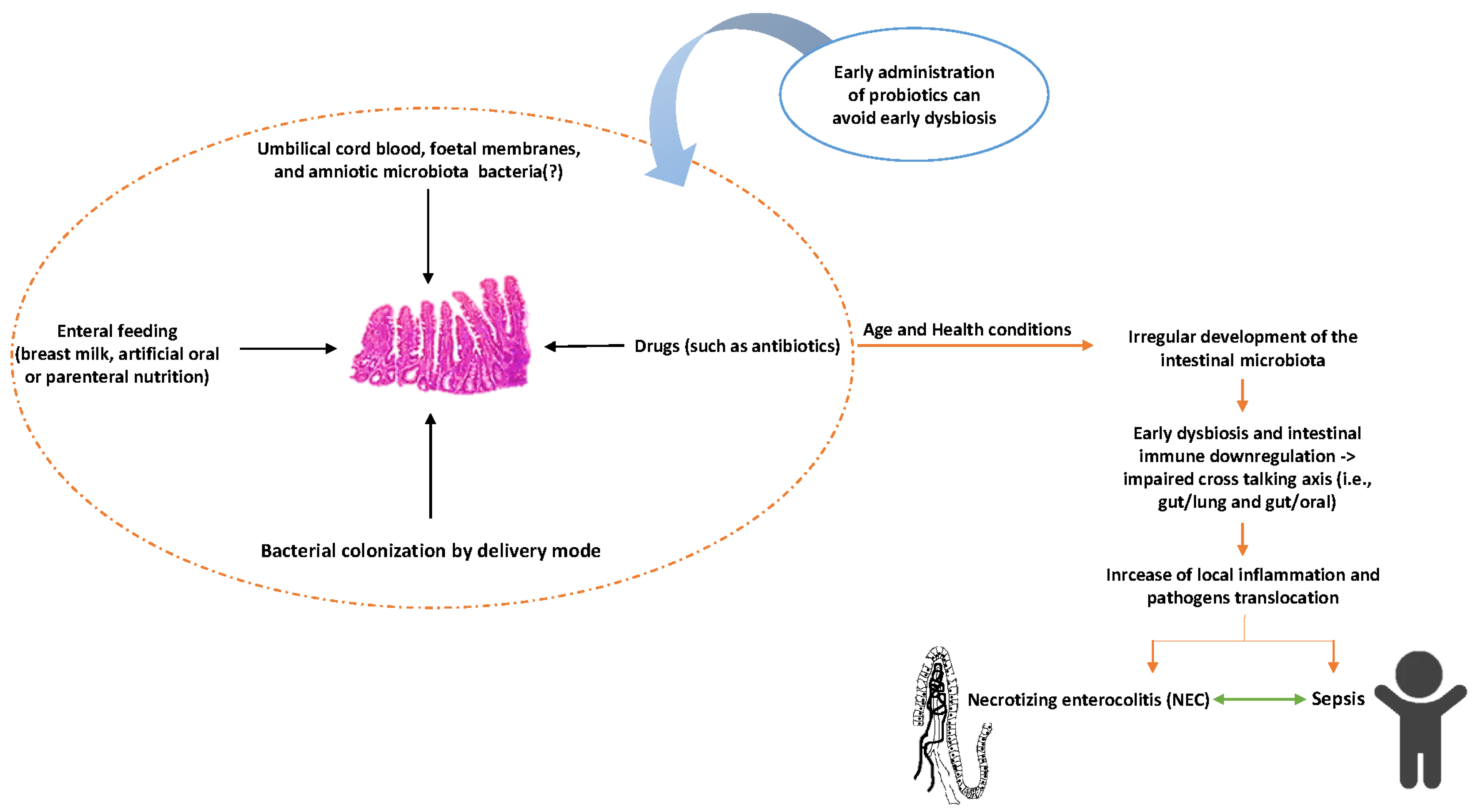 Gastrointestdisord 06 00029 g002