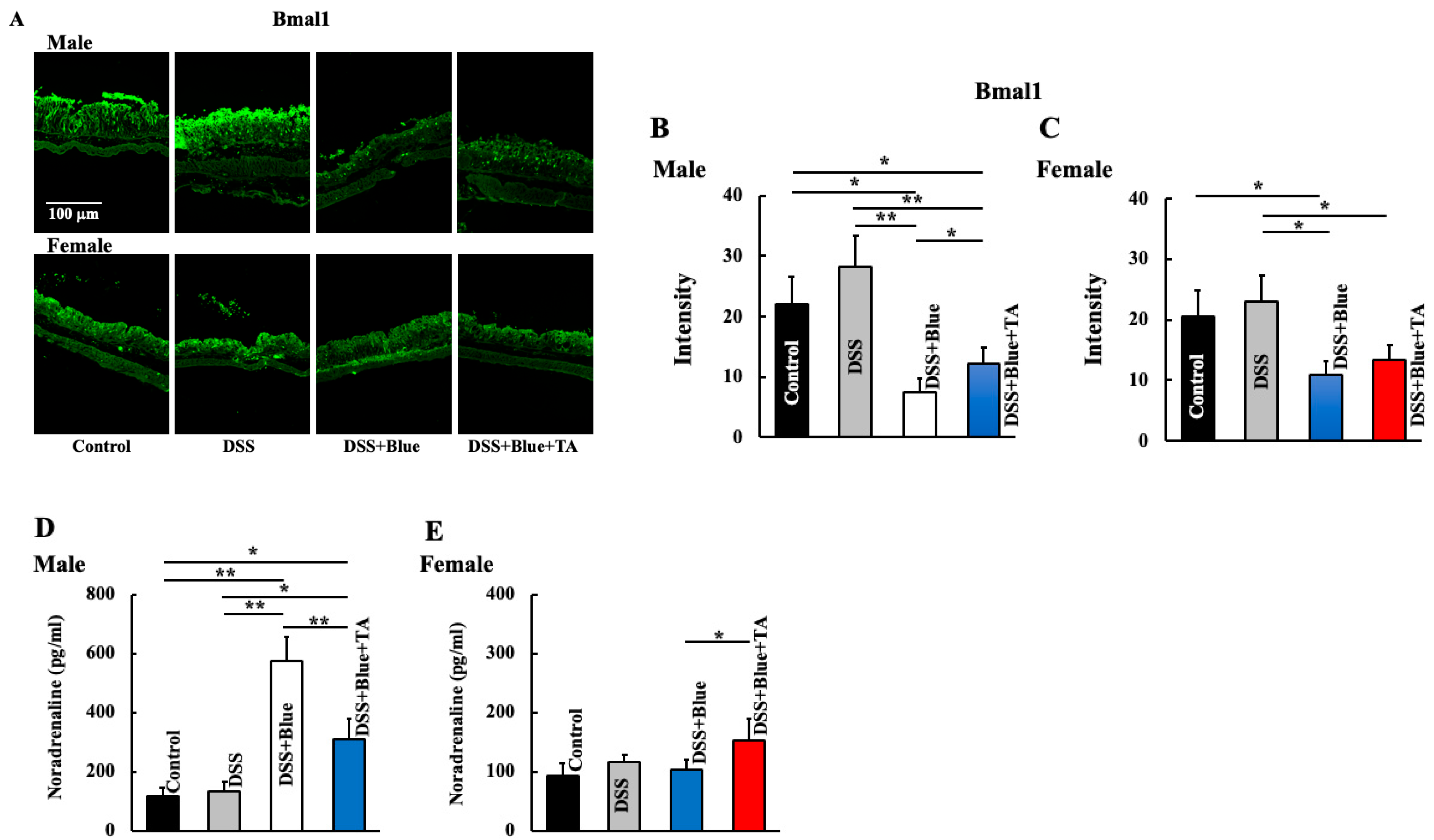 Gastrointestdisord 06 00048 g002