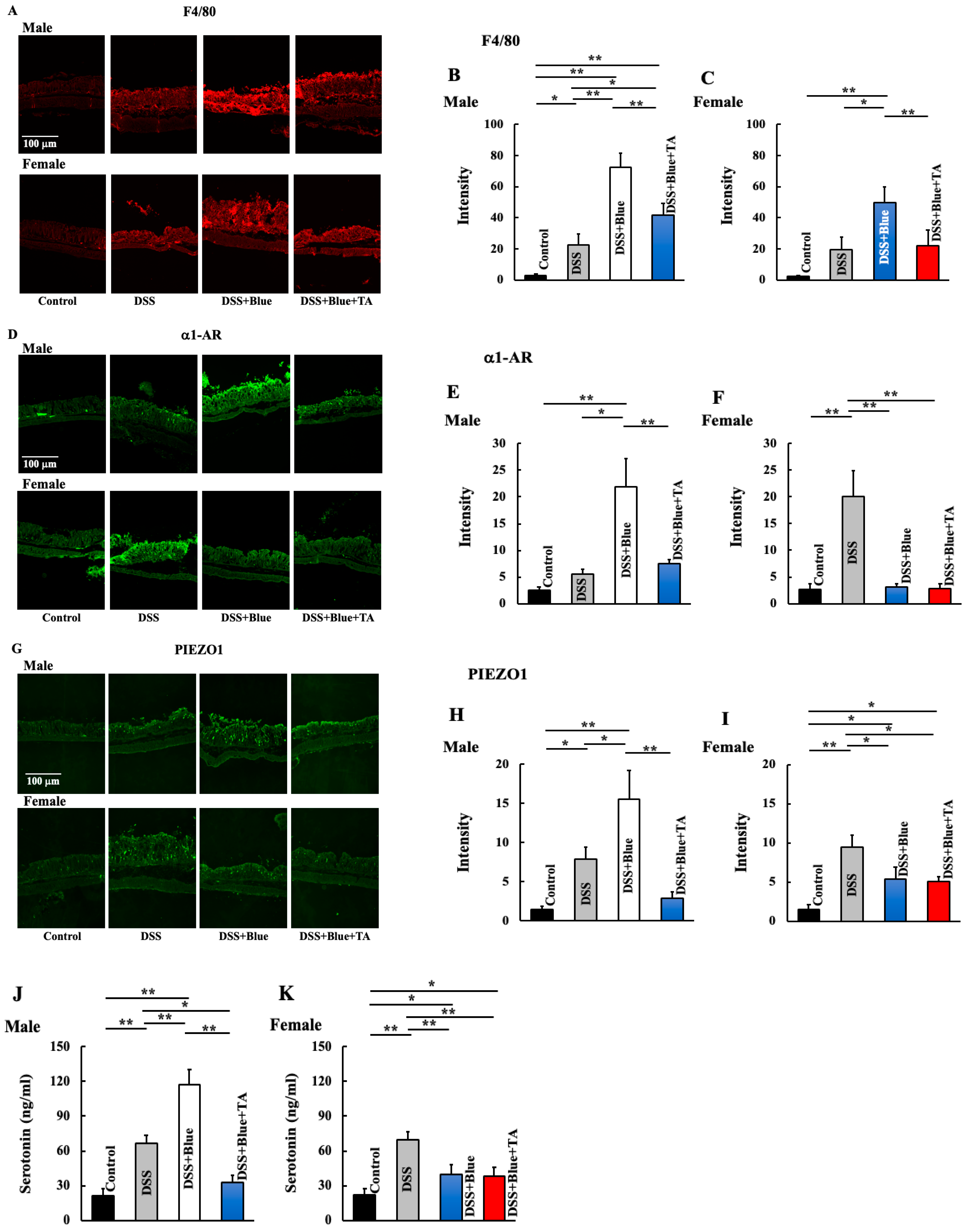 Gastrointestdisord 06 00048 g003