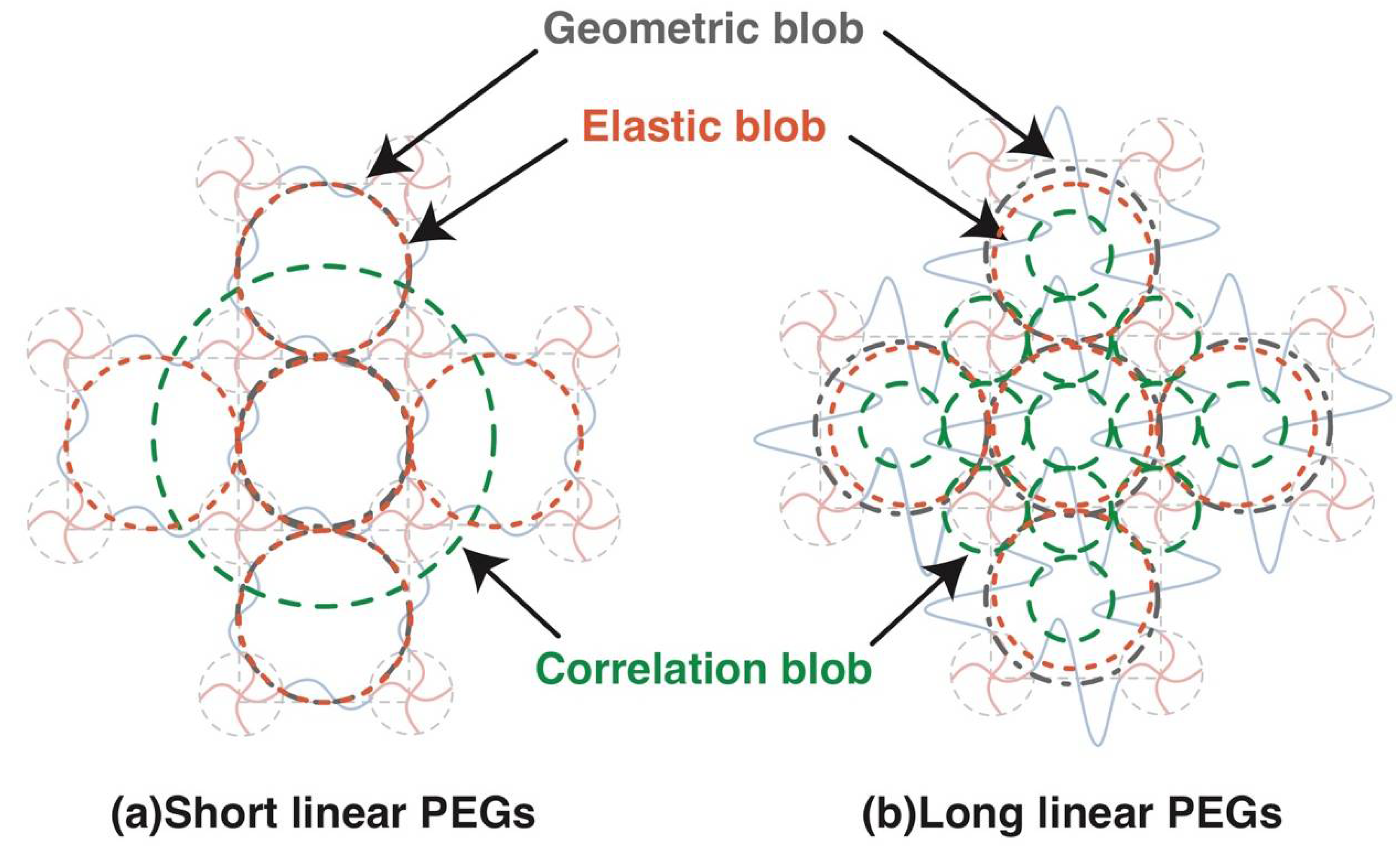 Gels Free Full Text Evaluation Of Mesh Size In Model - 