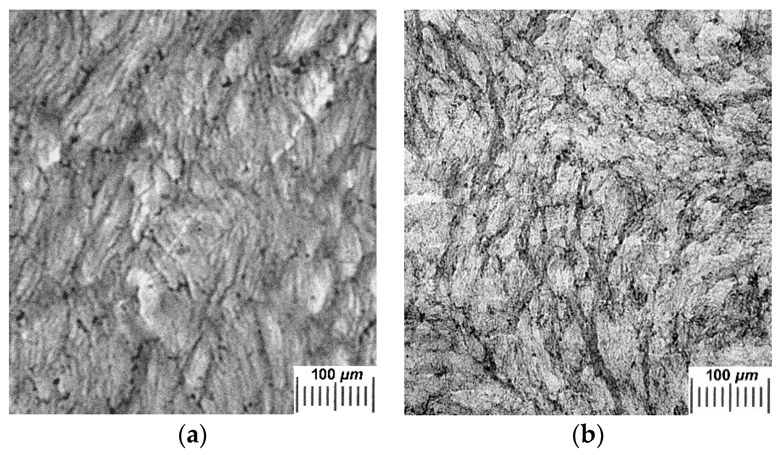 Gels 04 00081 g005a Gels 04 00081 g005a