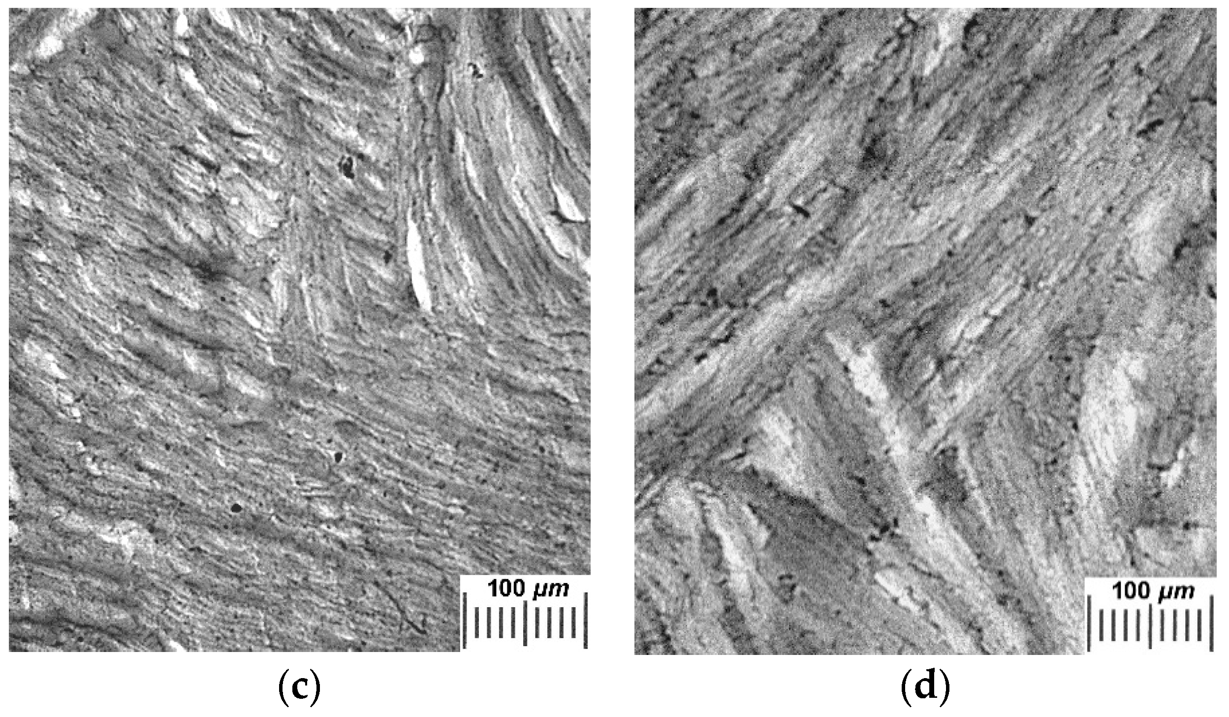 Gels 04 00081 g005b Gels 04 00081 g005b