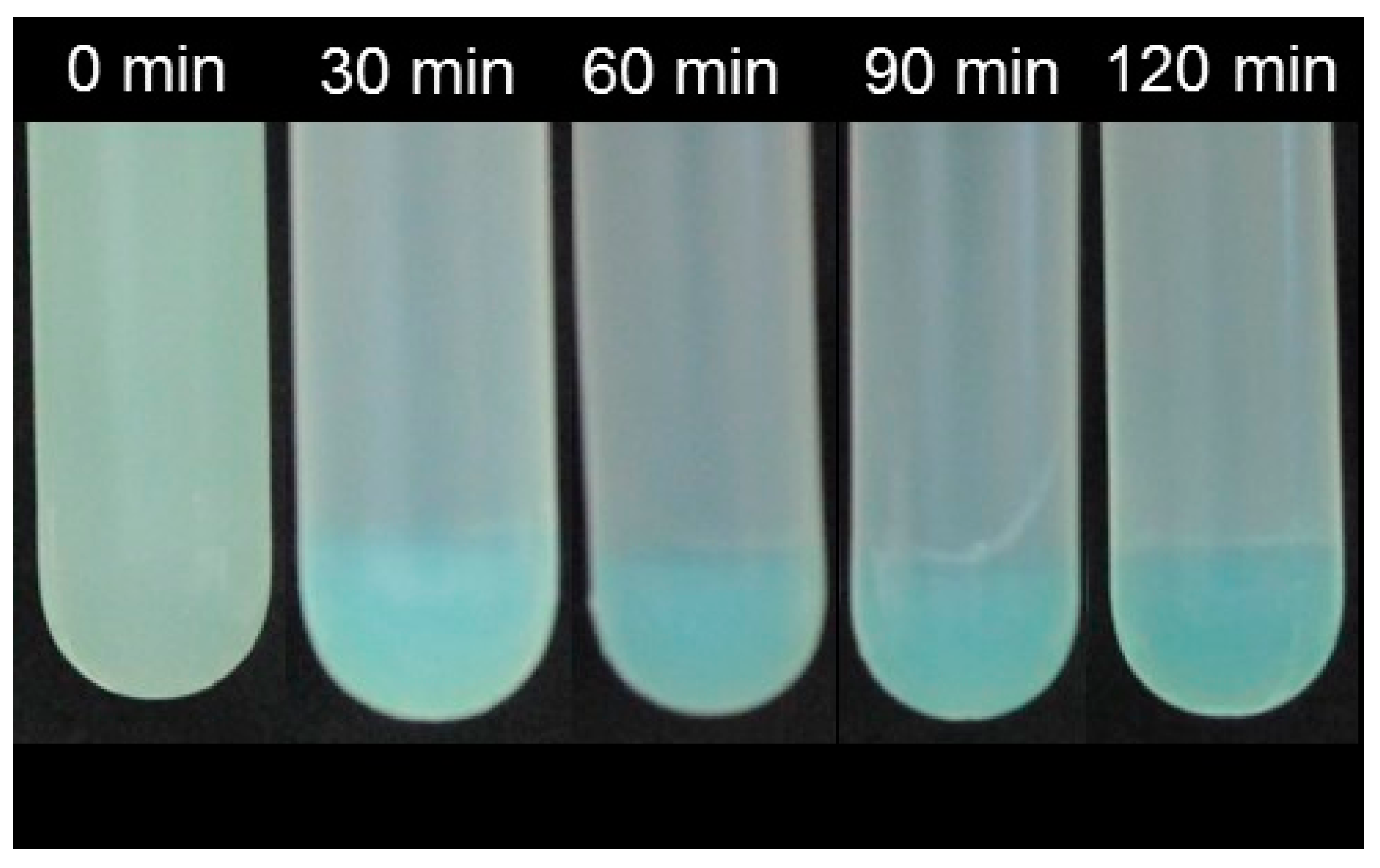 Gels 05 00026 g004 Gels 05 00026 g004