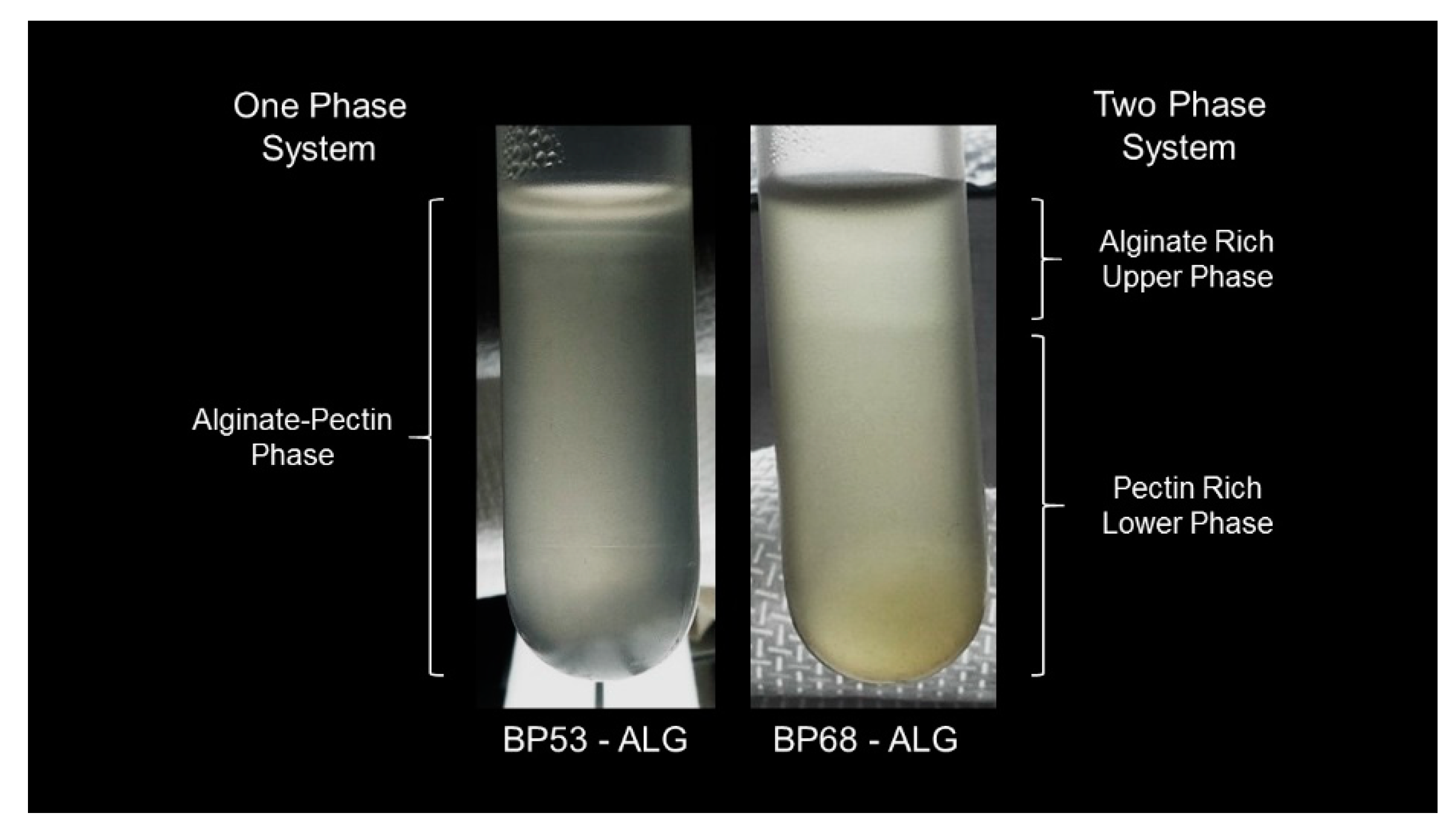Gels 05 00026 g005 Gels 05 00026 g005