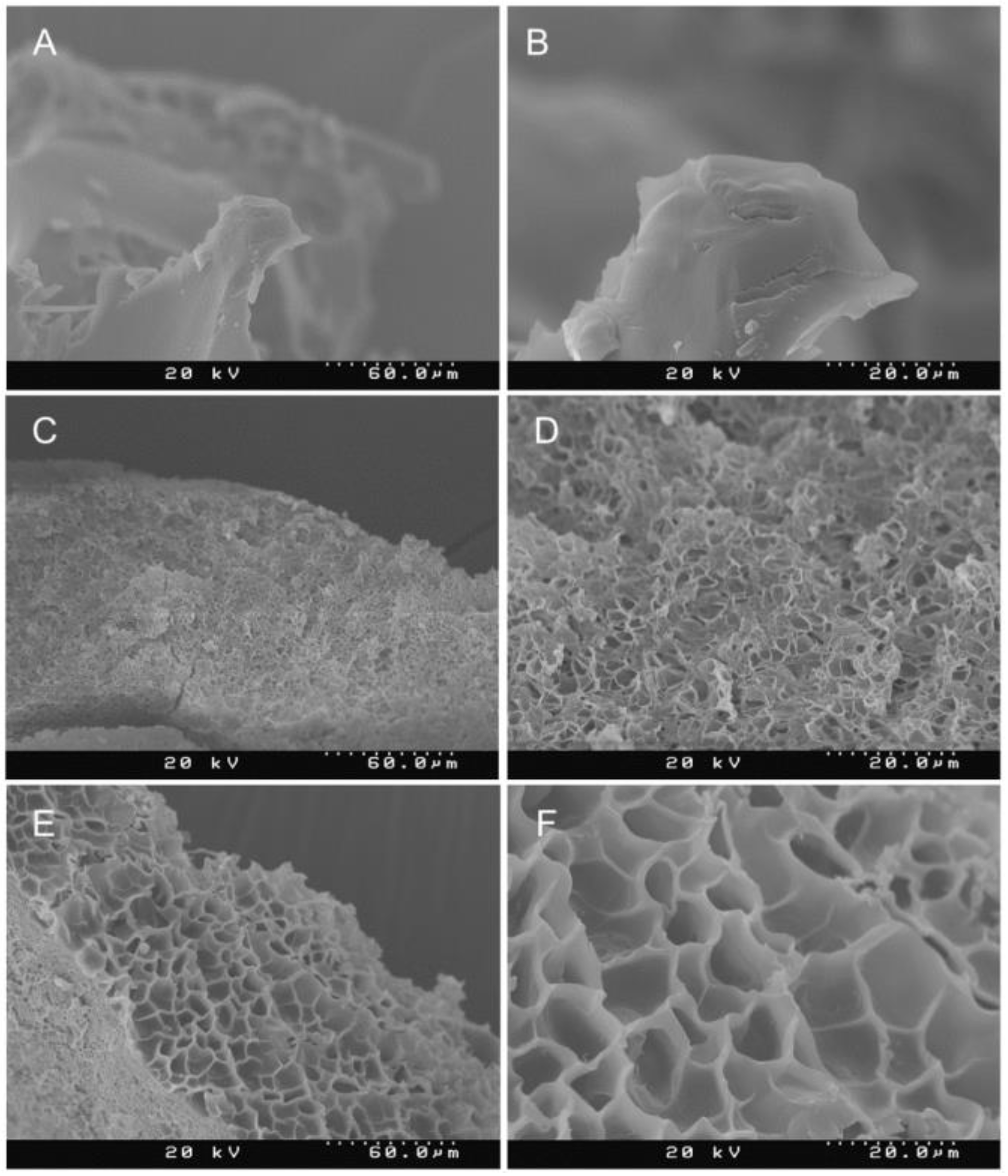 Gels 06 00039 g002 Gels 06 00039 g002