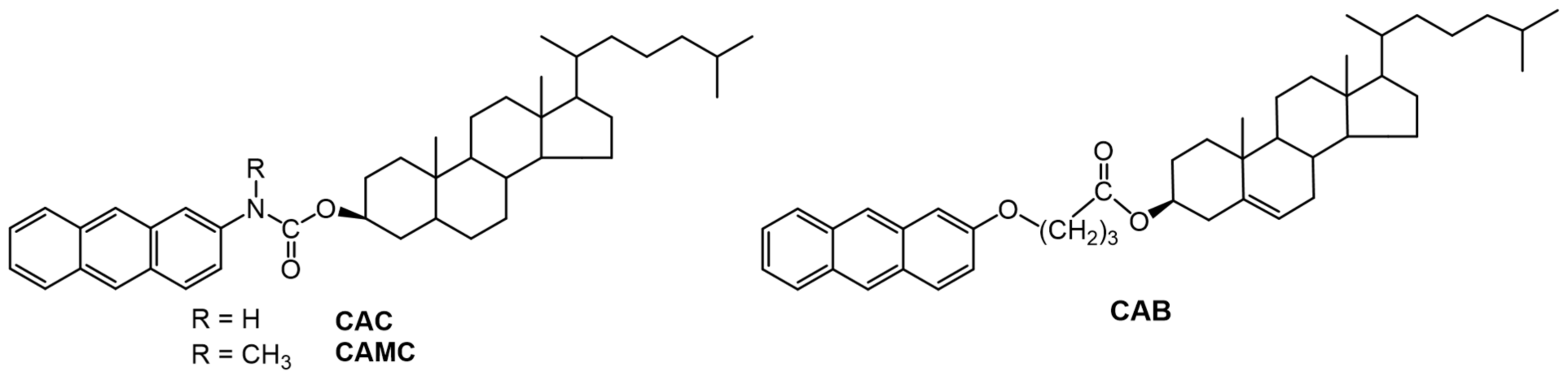 Gels 07 00019 g027 Gels 07 00019 g027