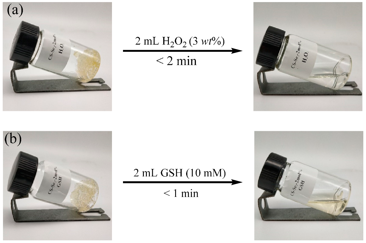 Gels 07 00021 g005 Gels 07 00021 g005