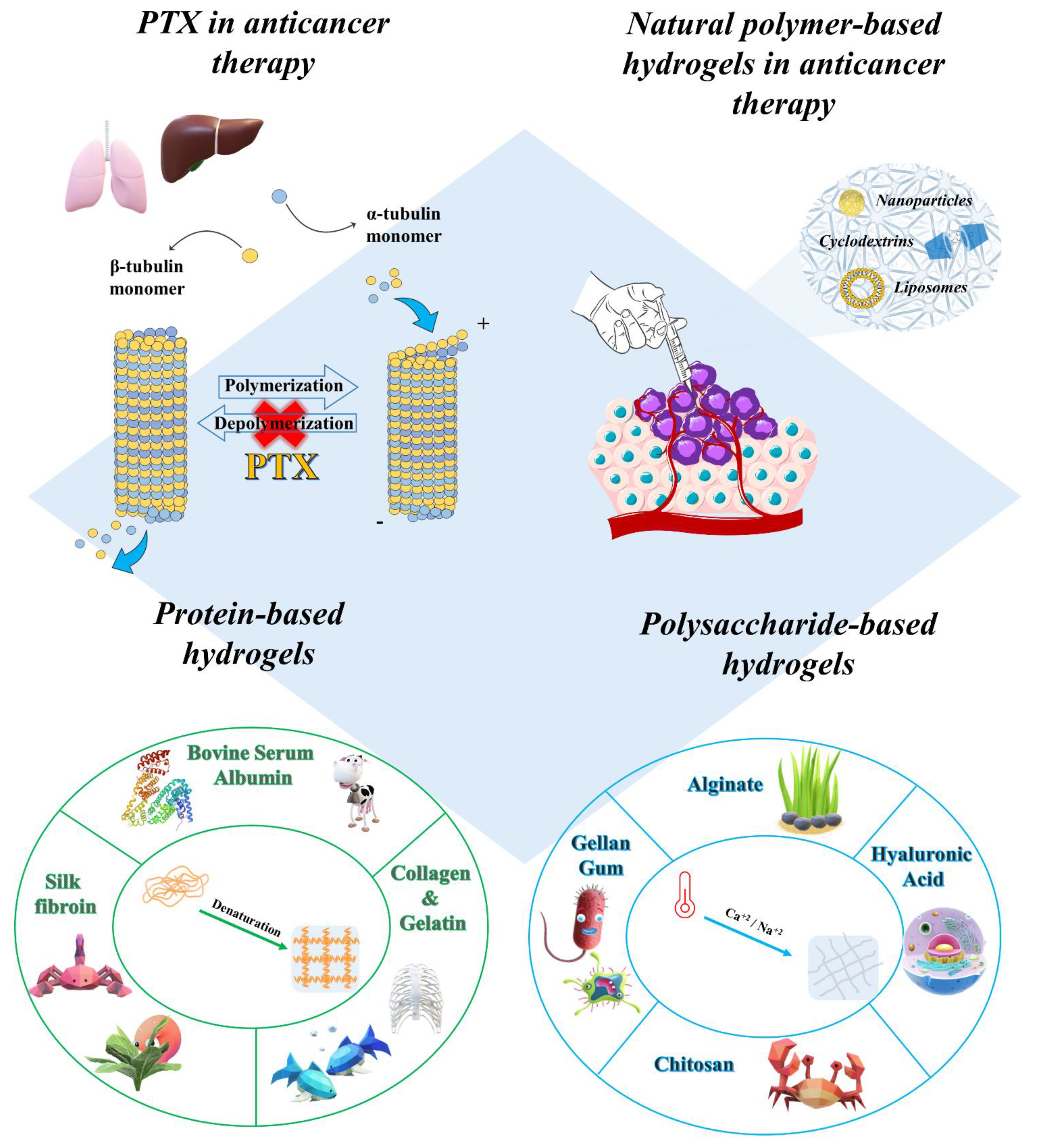 Alginate-based hydrogels as drug delivery vehicles in cancer