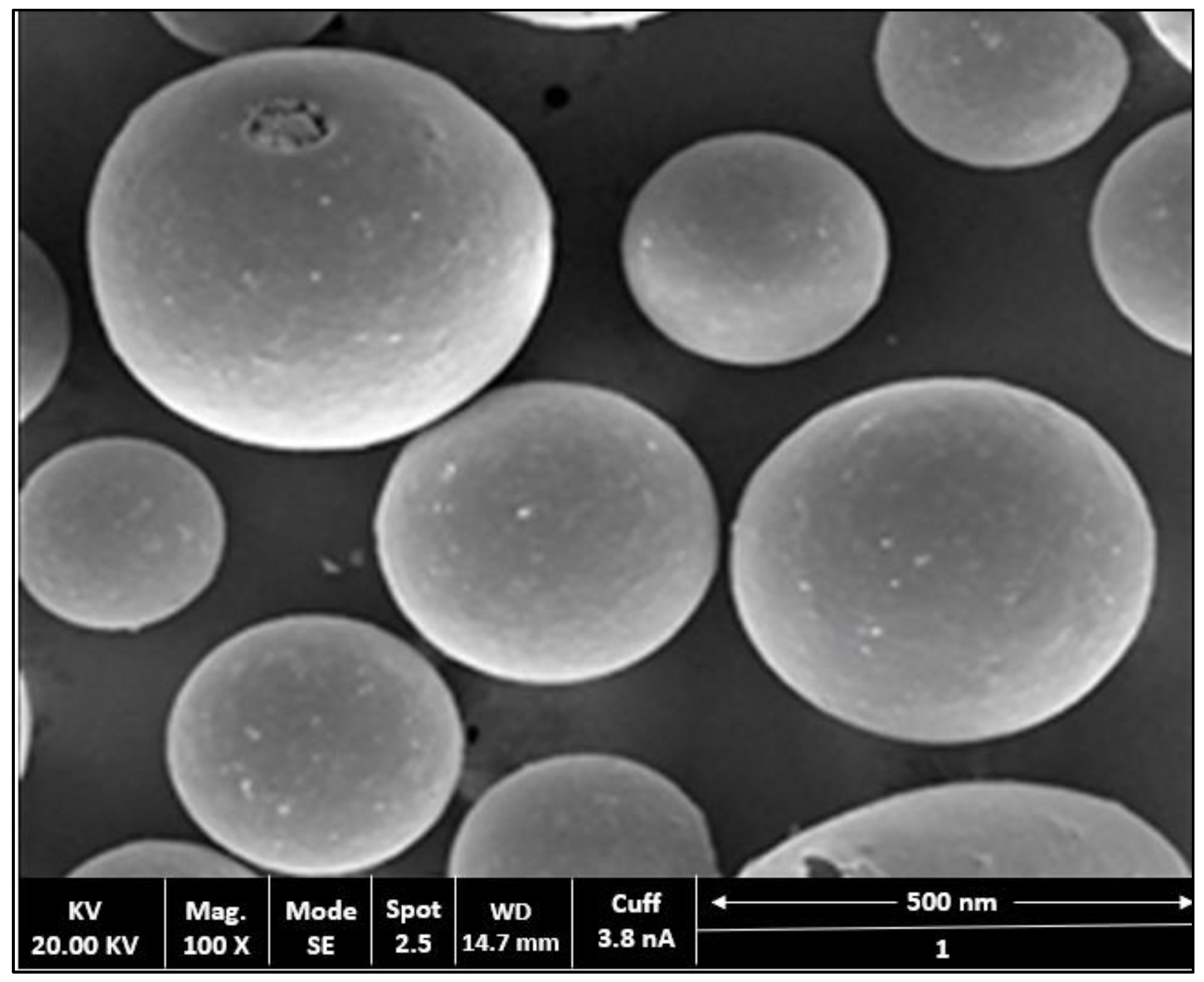 Gels Free Full Text Preparation Optimization And Evaluation Of Chitosan Based Avanafil Nanocomplex Utilizing Antioxidants For Enhanced Neuroprotective Effect On Pc12 Cells Html