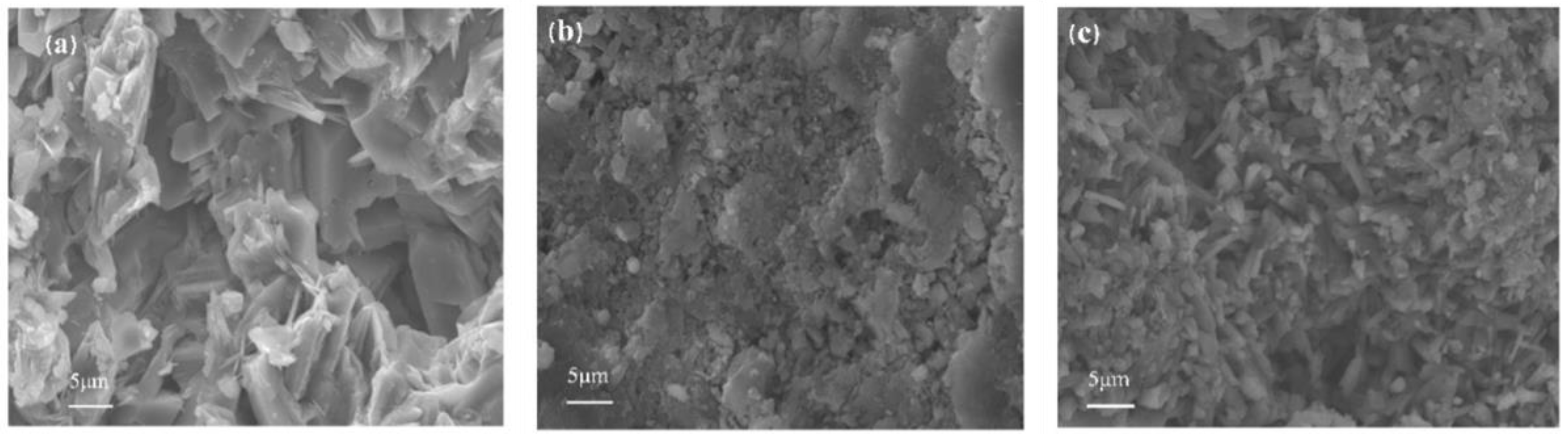 Gels 07 00117 g011 Gels 07 00117 g011